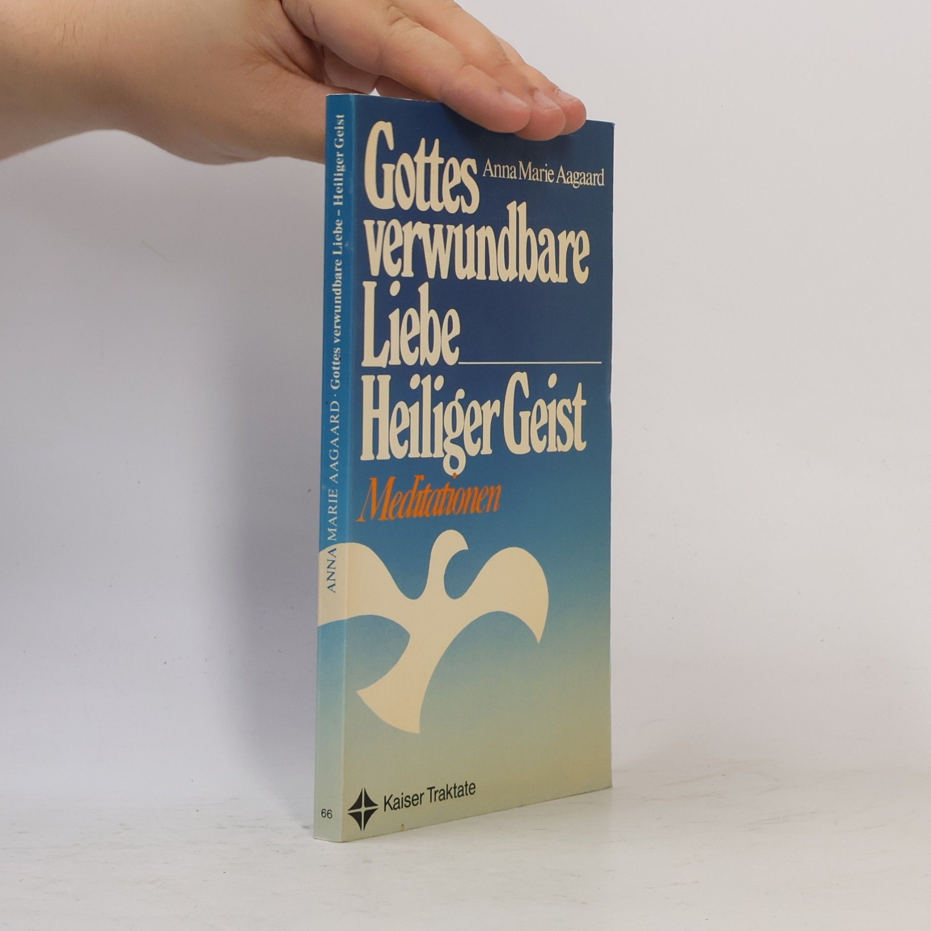 Anna Marie Aagaard Gottes verwundbare Liebe - Heiliger Geist