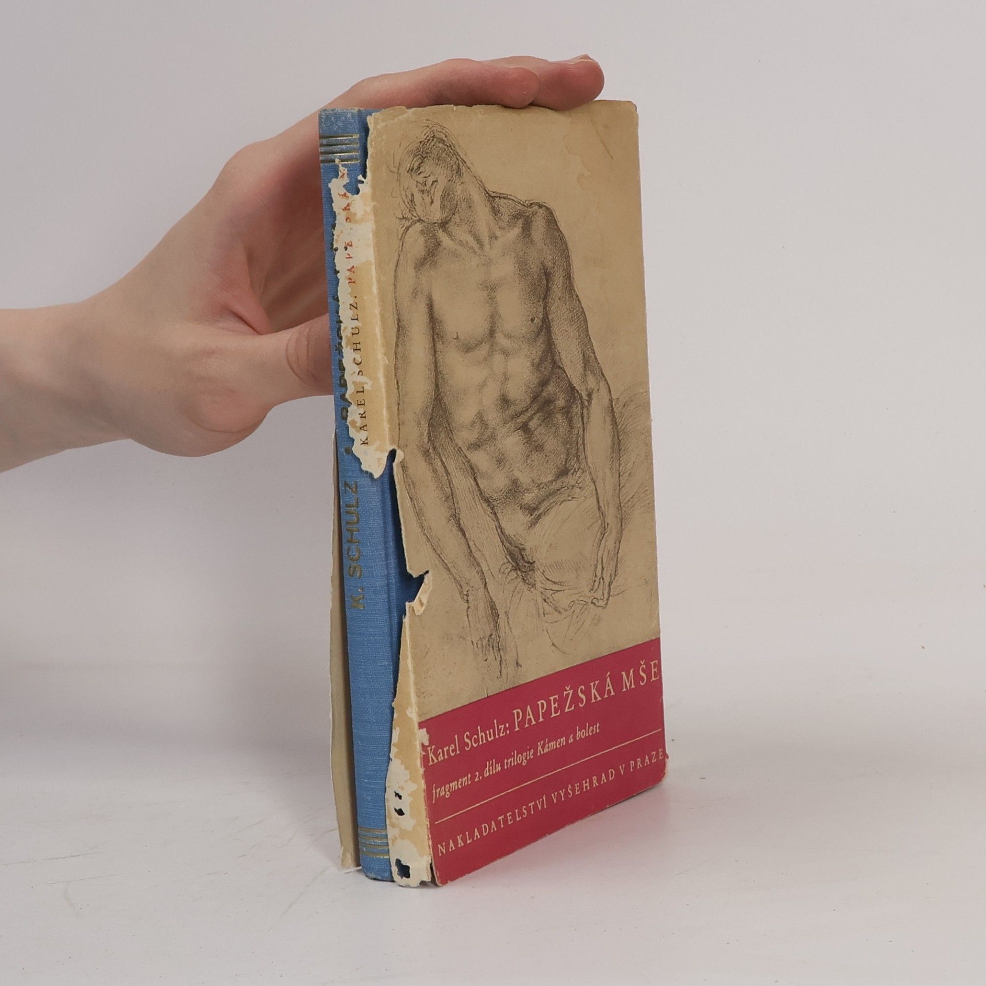 Papežská mše. Fragment druhého dílu michelangelovské trilogie Kámen a bolest