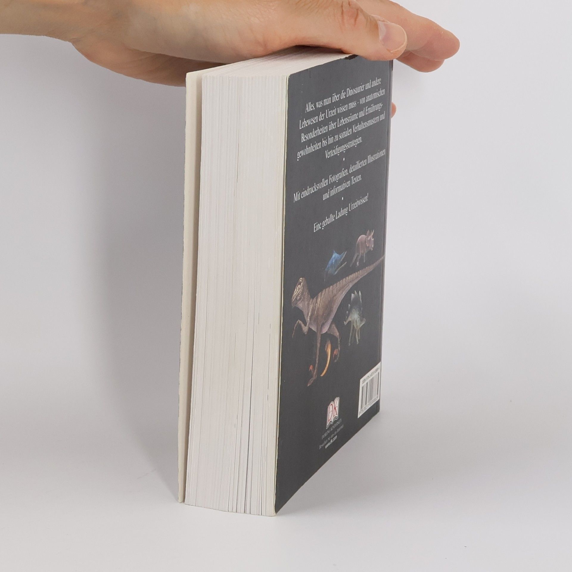 Sarah Phillips Taschenlexikon Dinosaurier
