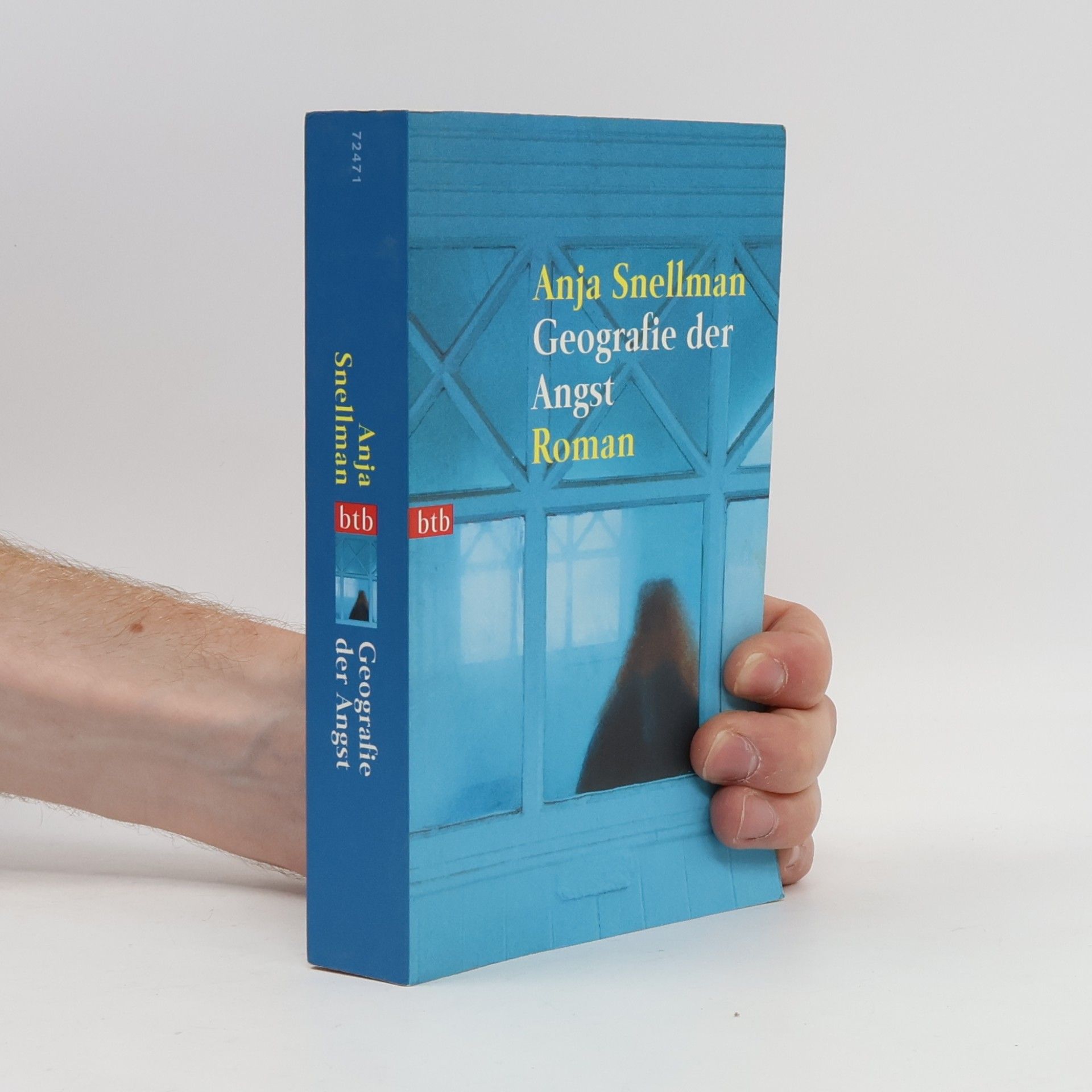 Anja Snellman Geografie der Angst