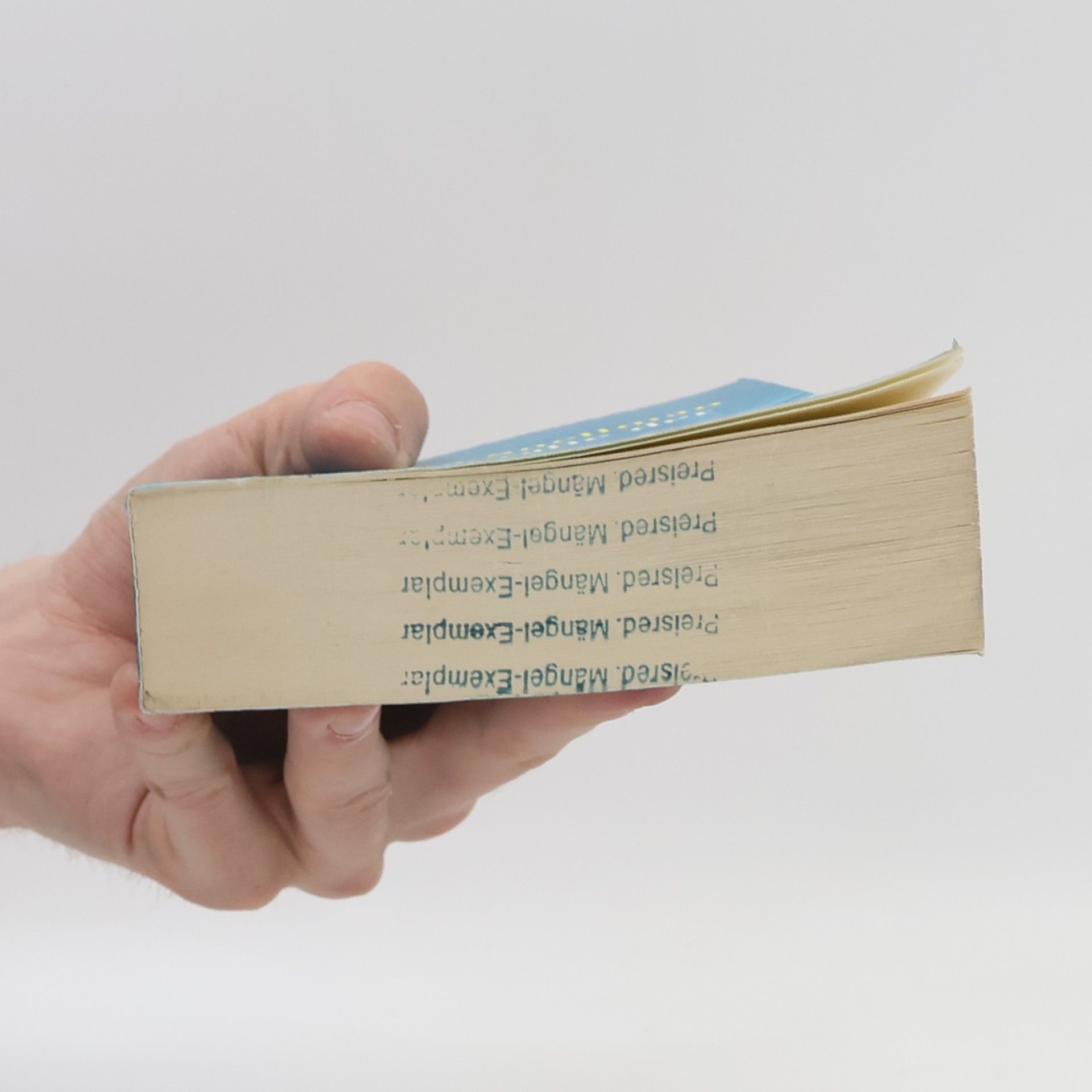 Anja Snellman Geografie der Angst