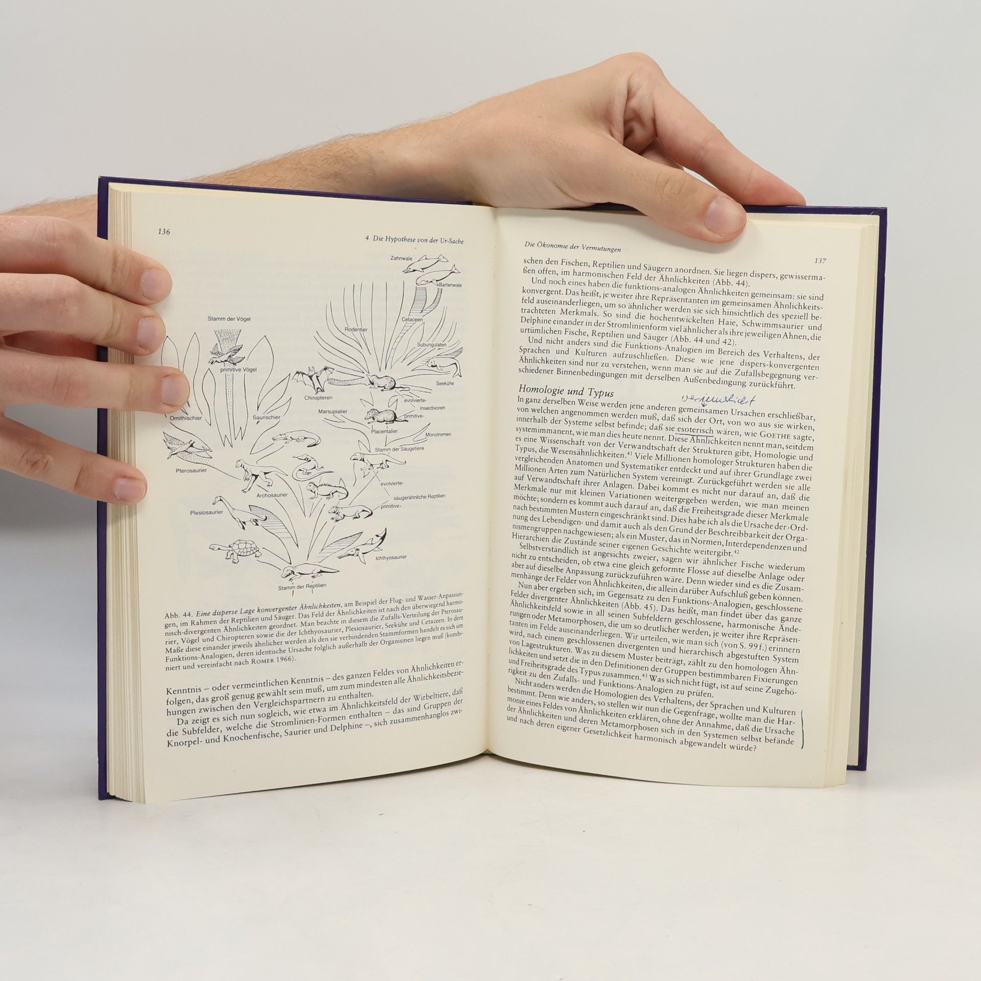 Rupert Riedl Biologie der Erkenntnis