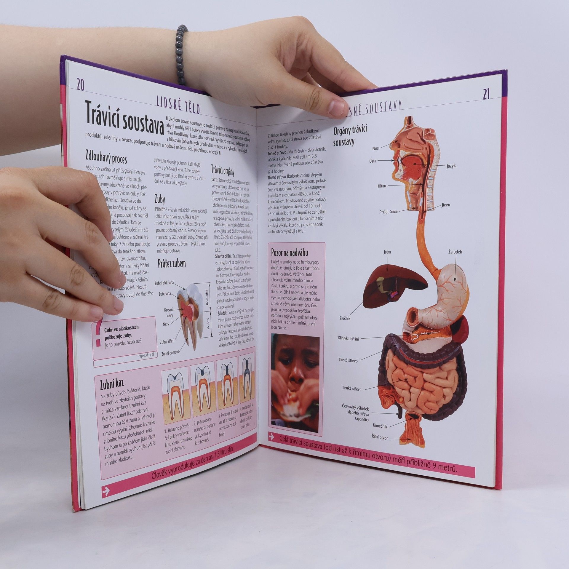 Autorenkollektiv Atlas pro mládež. Lidské tělo