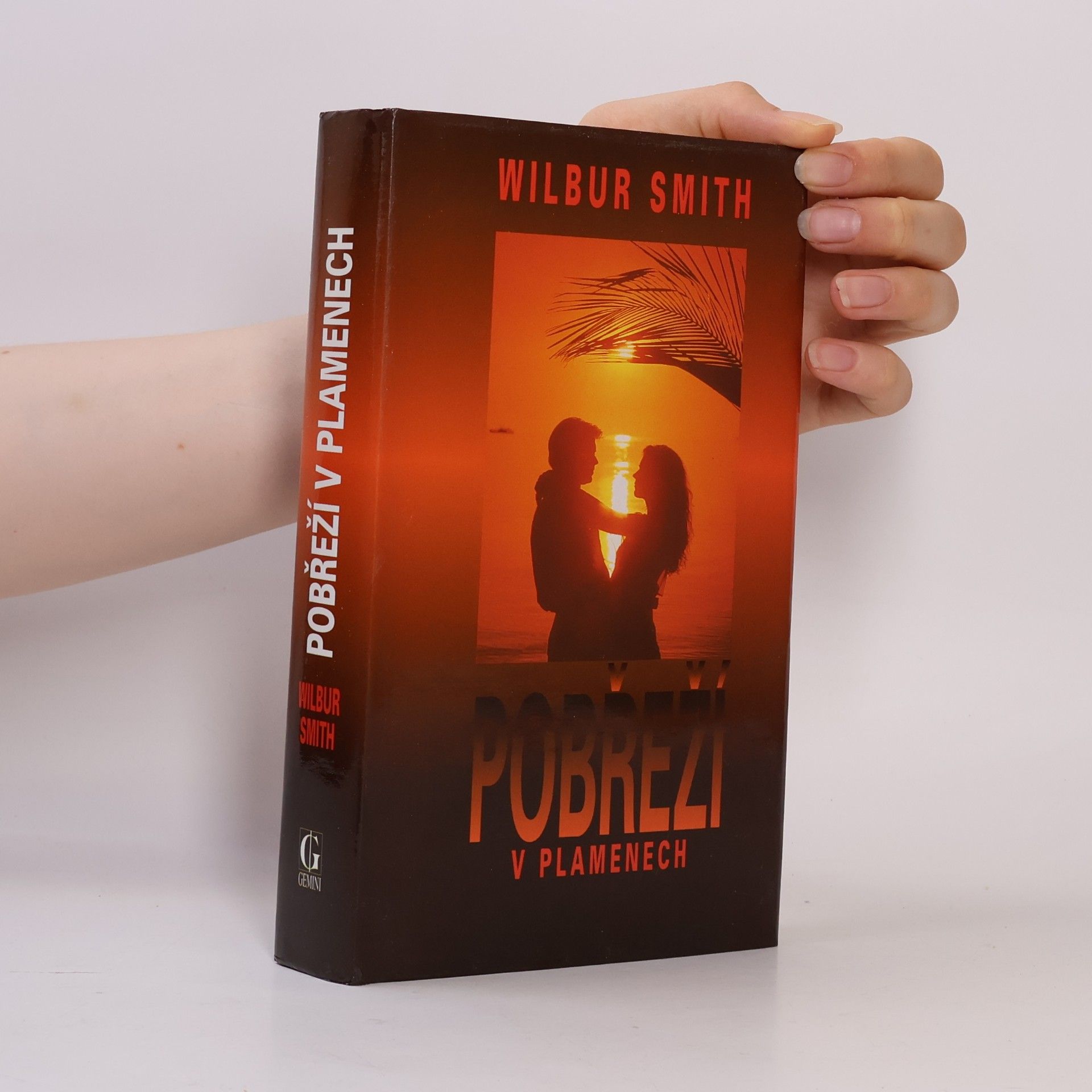 Wilbur Smith Pobřeží v plamenech