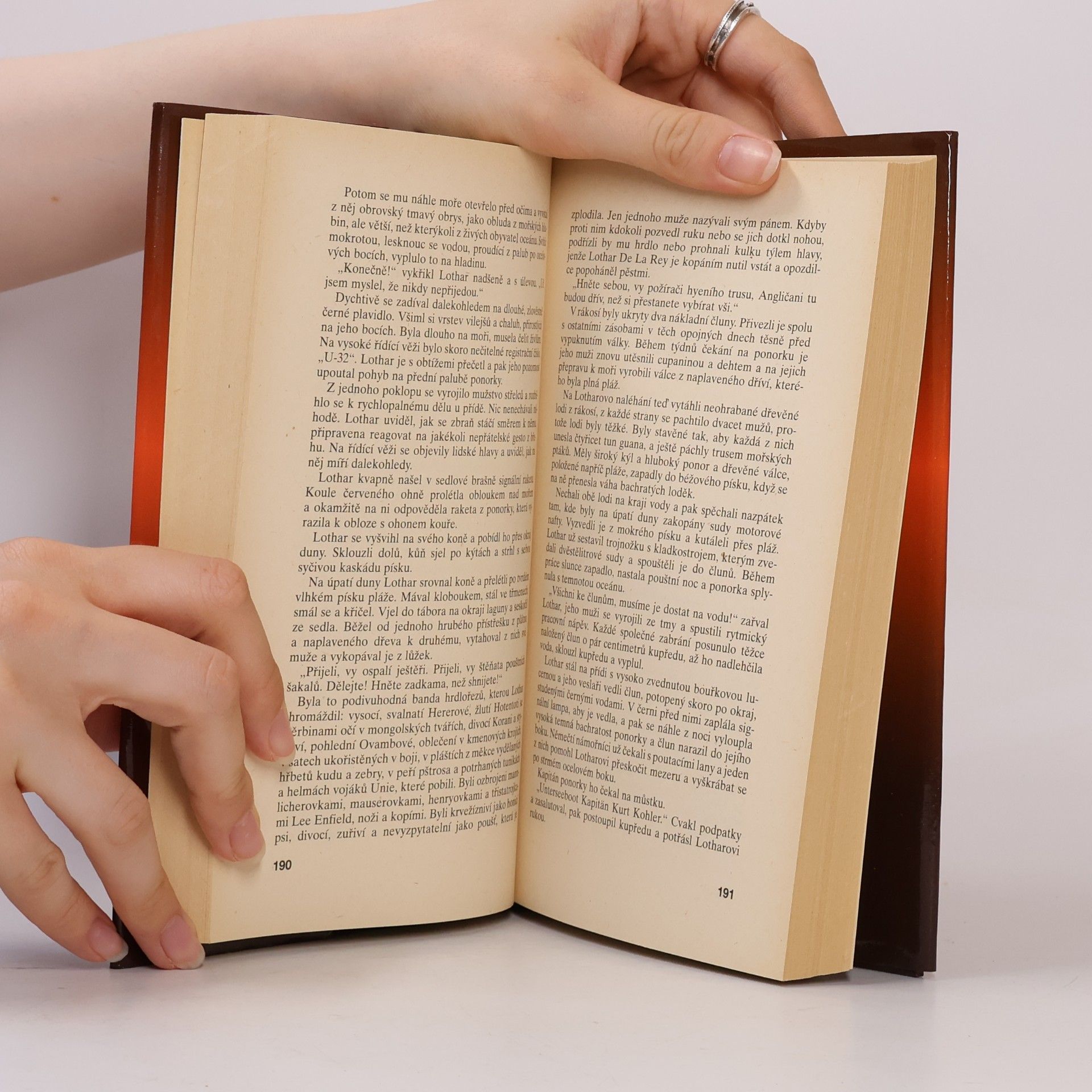 Wilbur Smith Pobřeží v plamenech