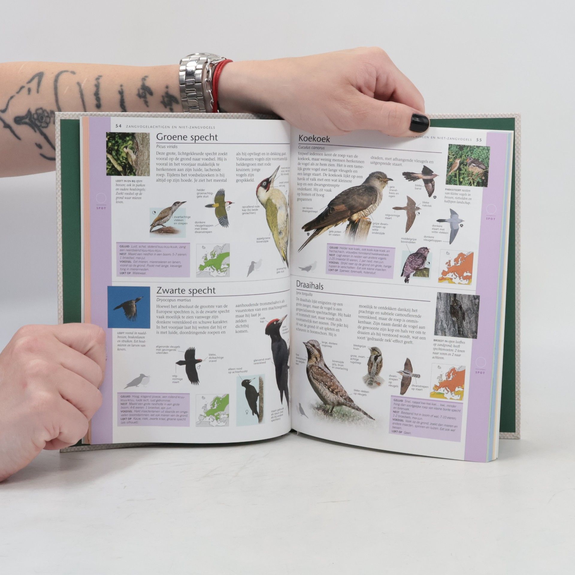 Jonathan Elphick Vogels in Nederland 1