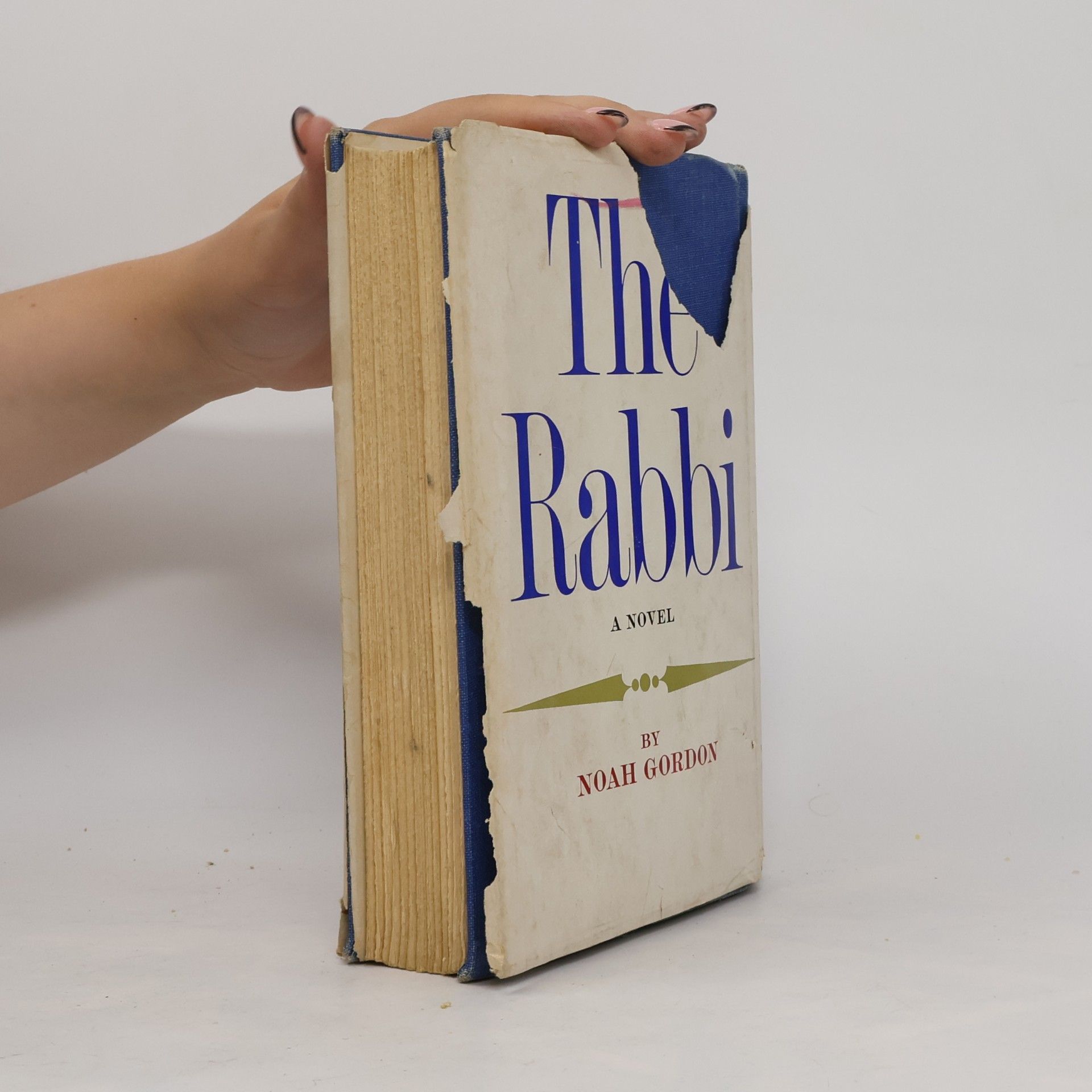 Noah Gordon The Rabbi