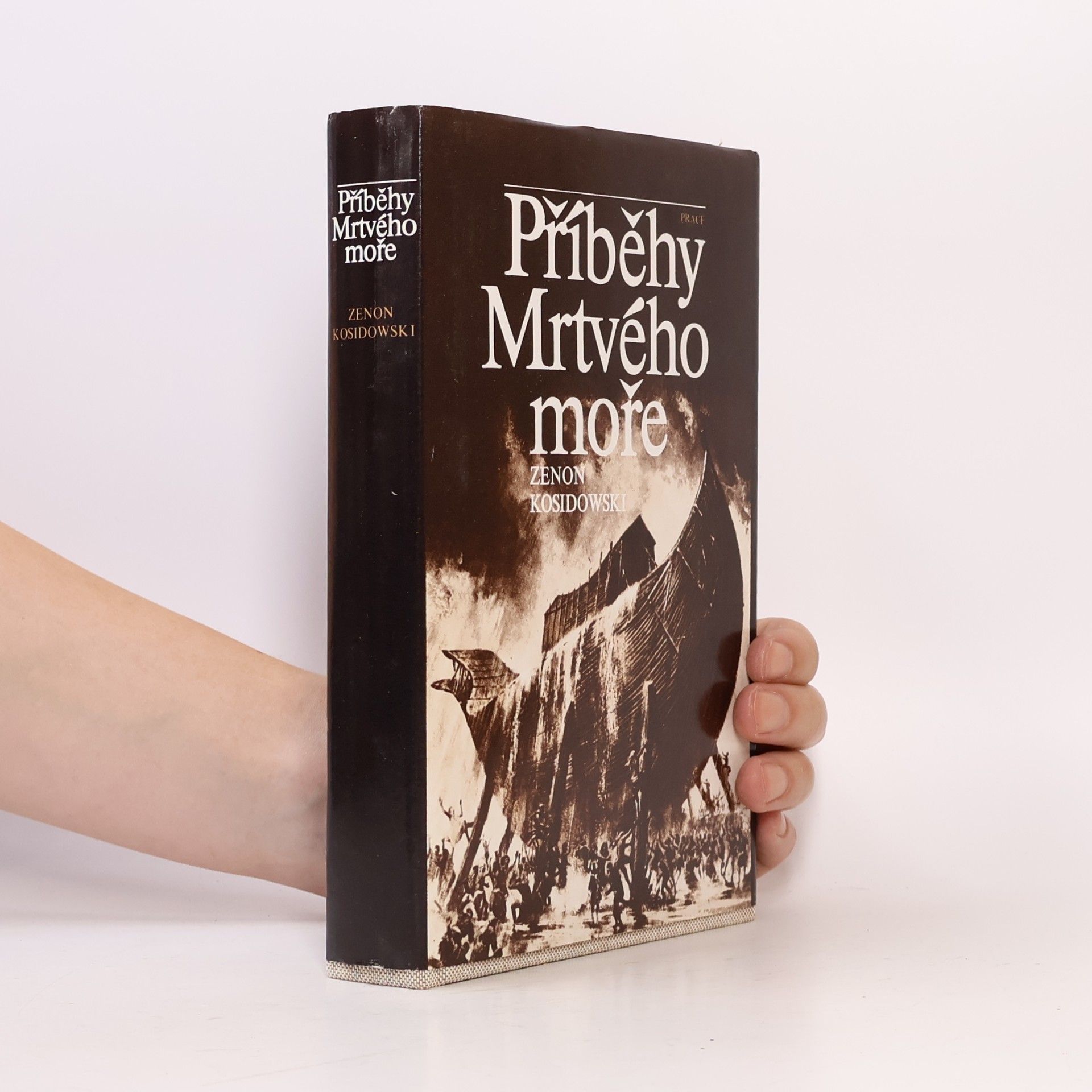 Zenon Kosidowski Příběhy Mrtvého moře