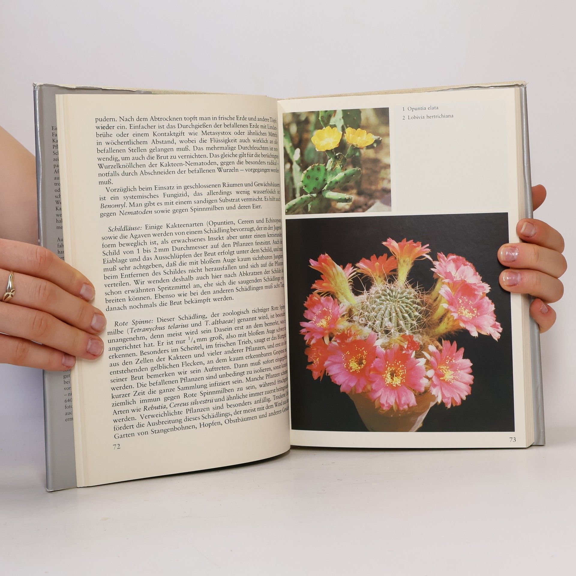 Walther Haage Das praktische Kakteenbuch