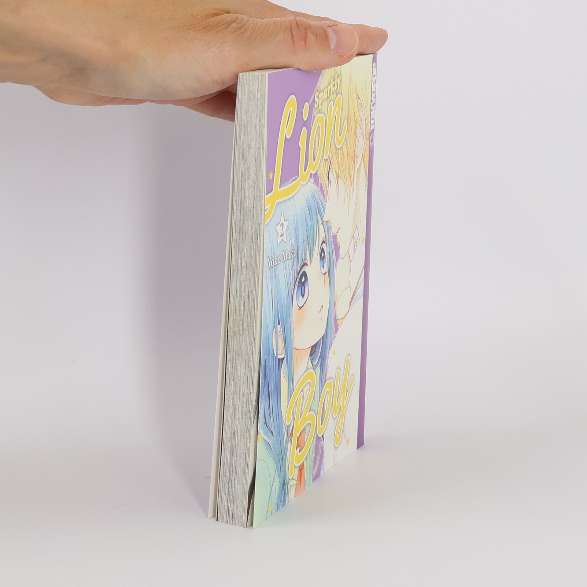 Yōko Maki Sparkly lion boy 2