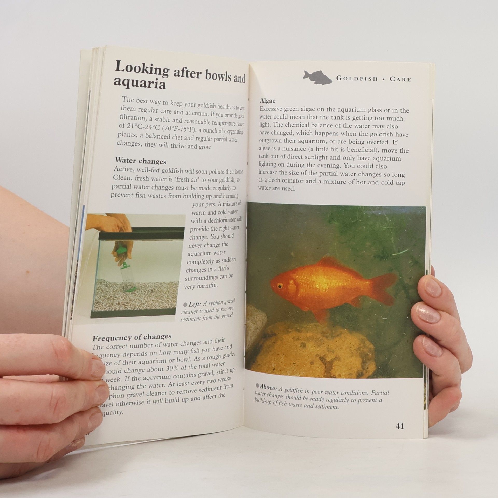 Dr. David Sands Caring for Your Pet: Goldfish