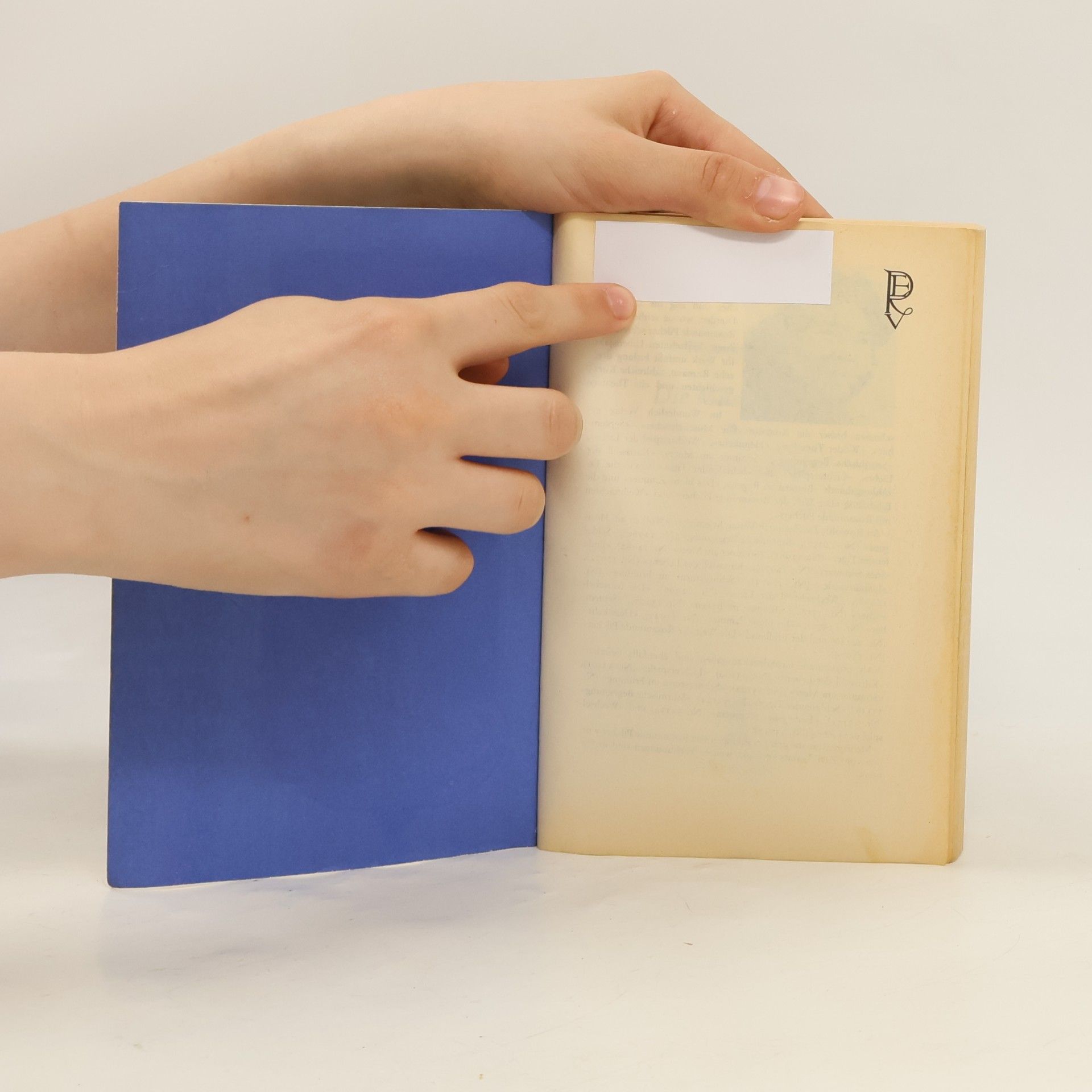 Rosamunde Pilcher Die Muschelsucher