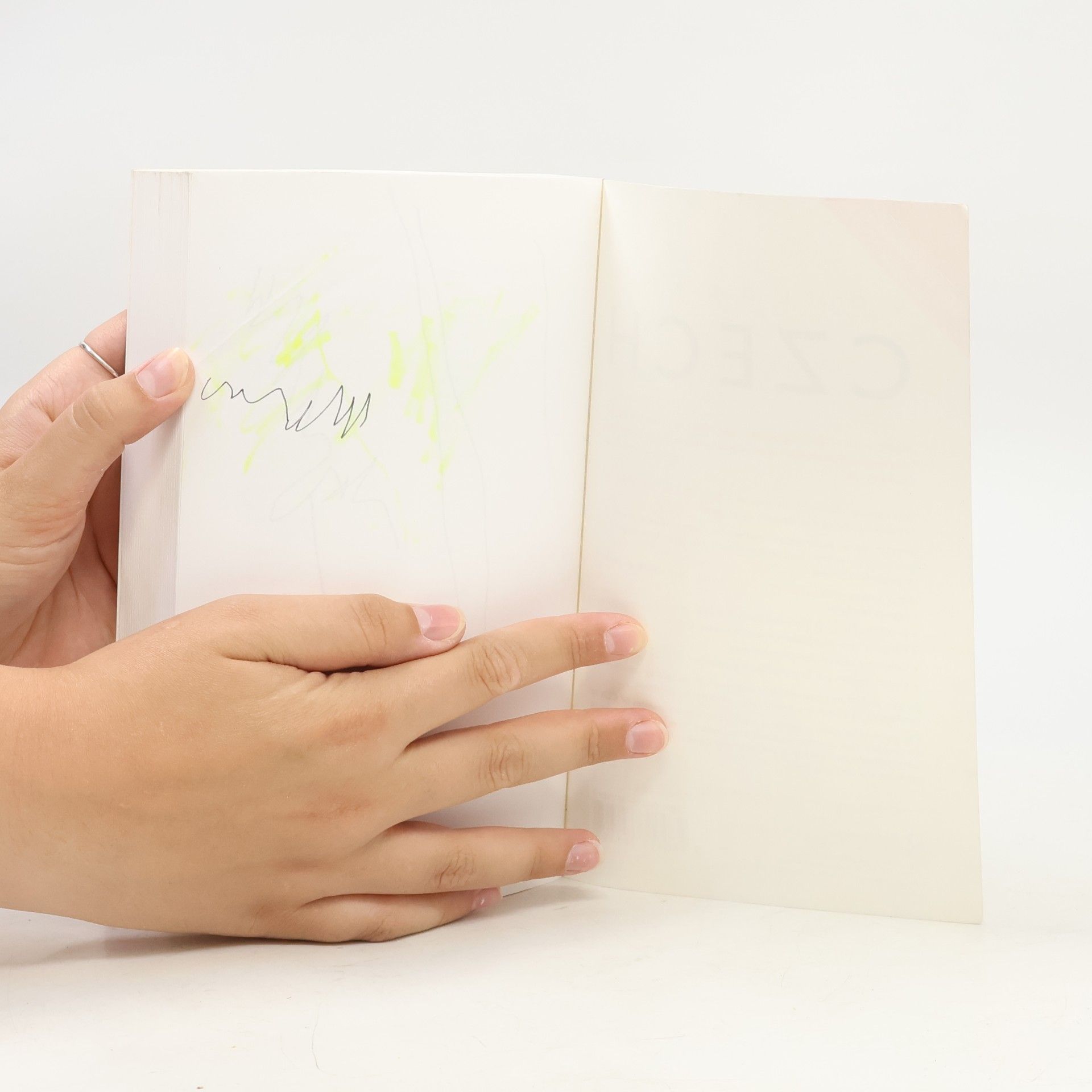 Autorenkollektiv Colloquial Czech: The Complete Course for Beginners