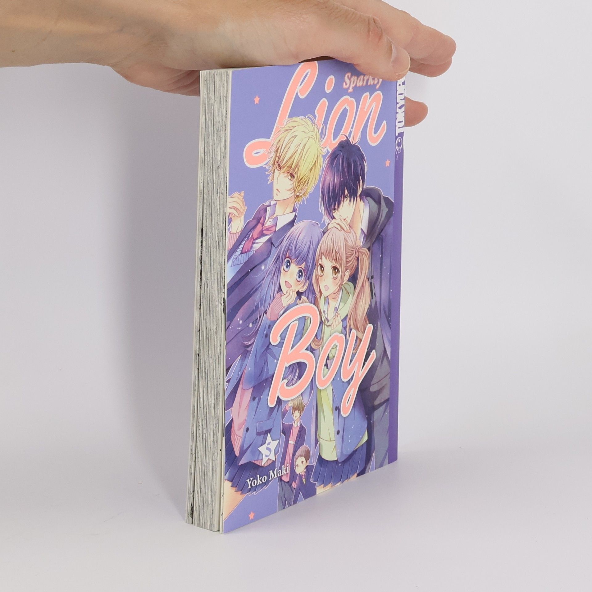 Yōko Maki Sparkly Lion Boy 5