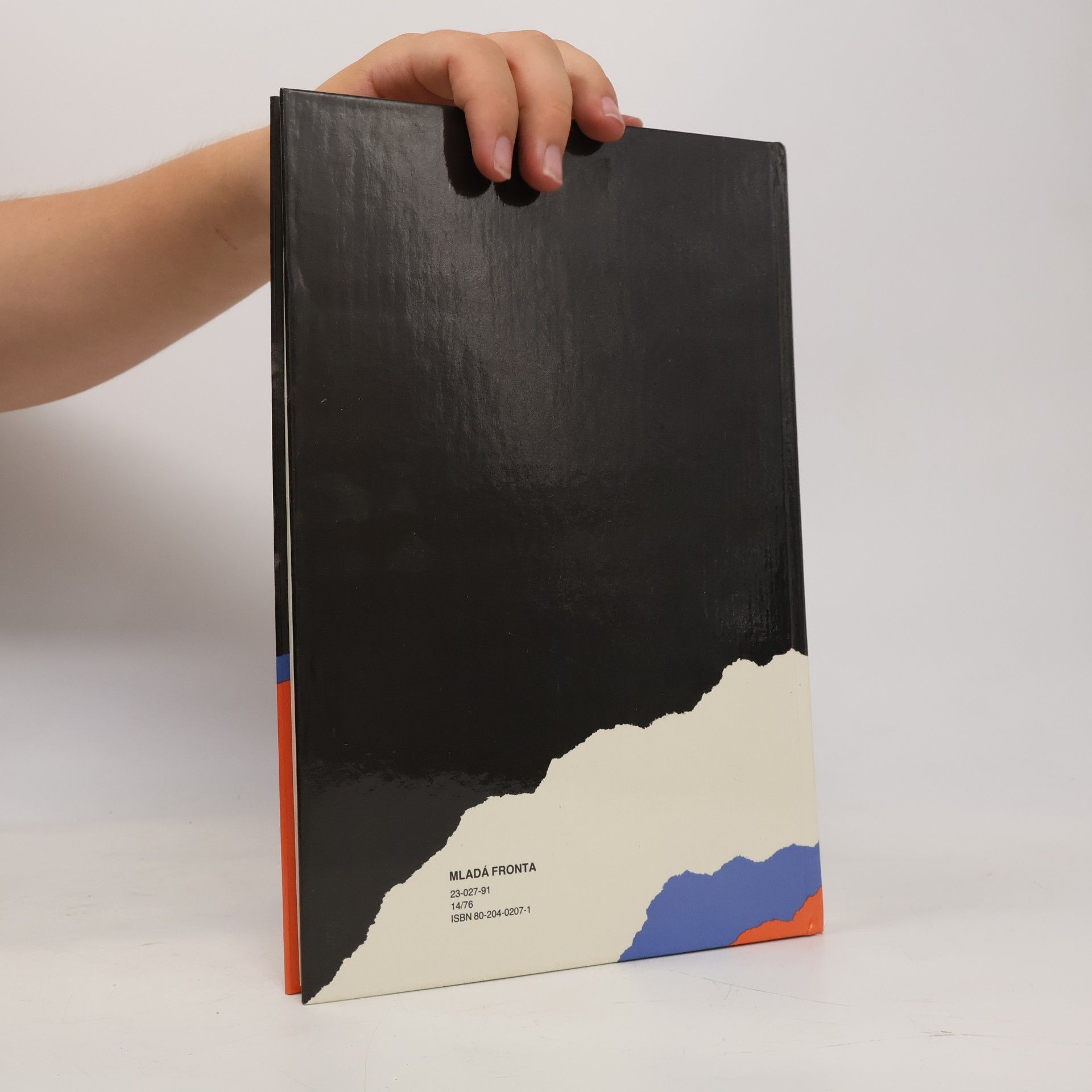 Petr Molt Toto shromáždění nebylo povoleno... : svědectví fotoreportérů Mladé fronty : podzim 1989
