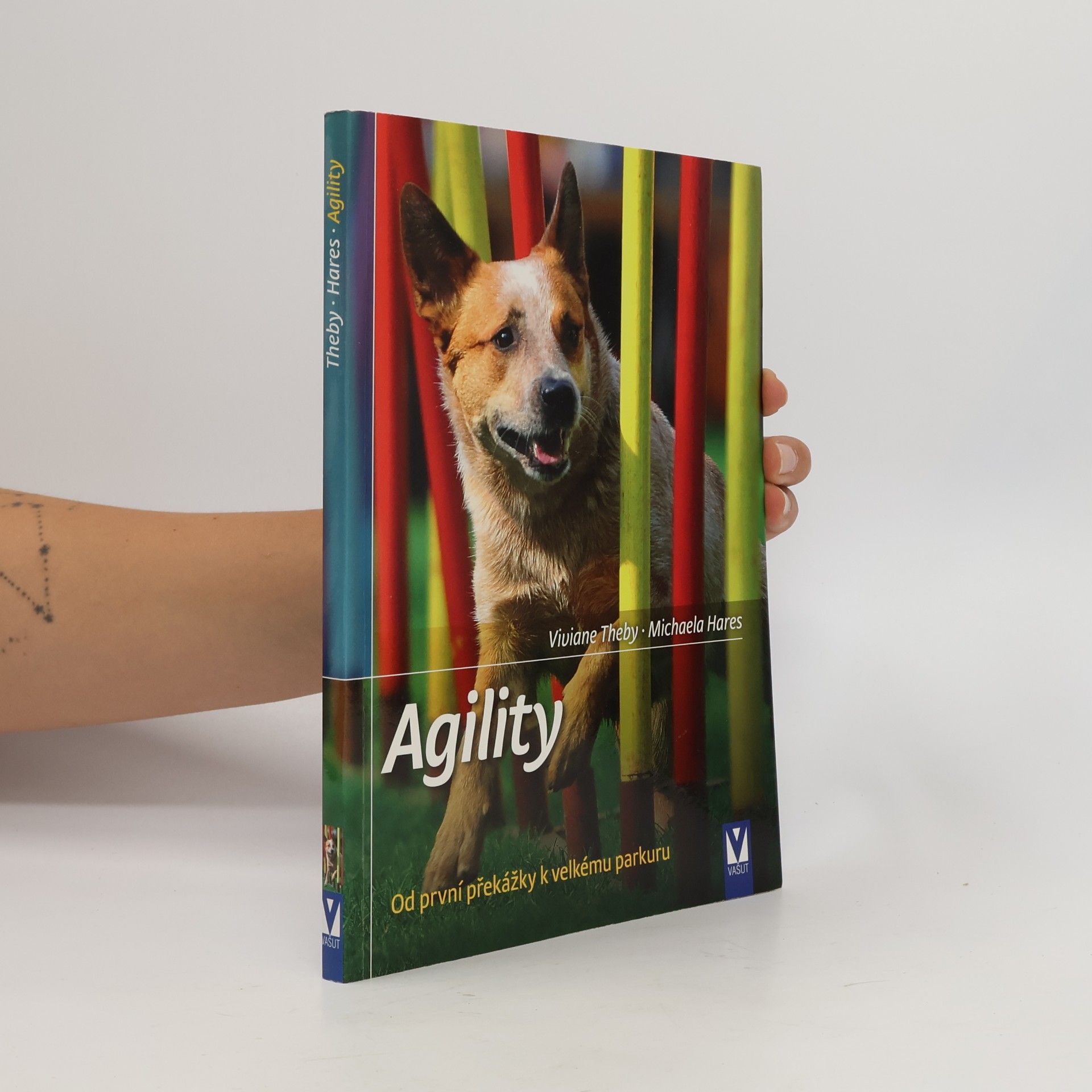 Agility - Od první překážky k velkému parkuru