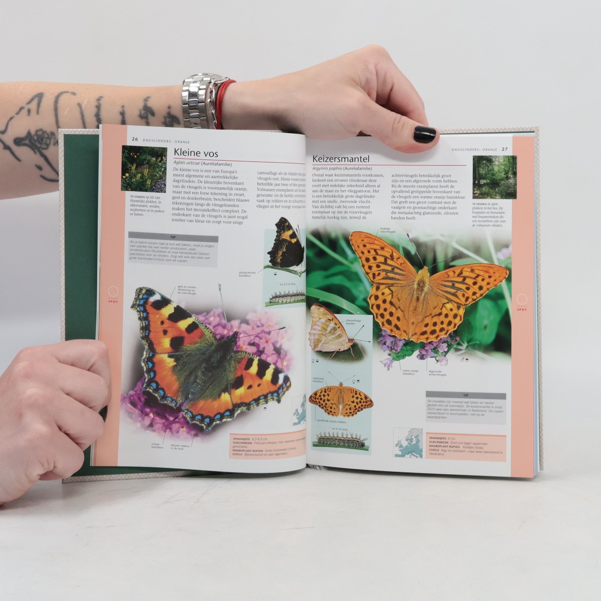 Various authors Vlinders & andere insecten in Nederland 3.