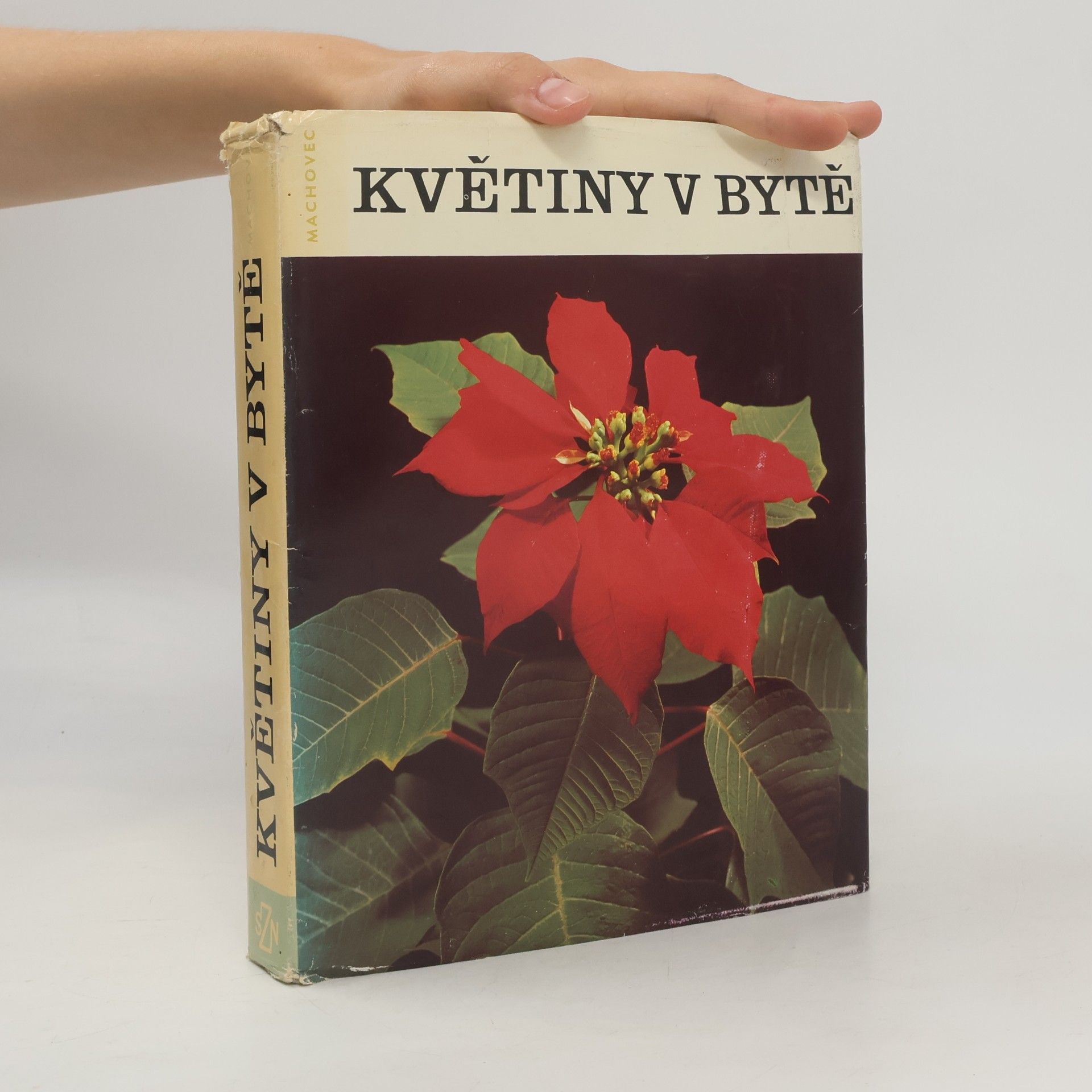 Jaroslav Machovec Květiny v bytě