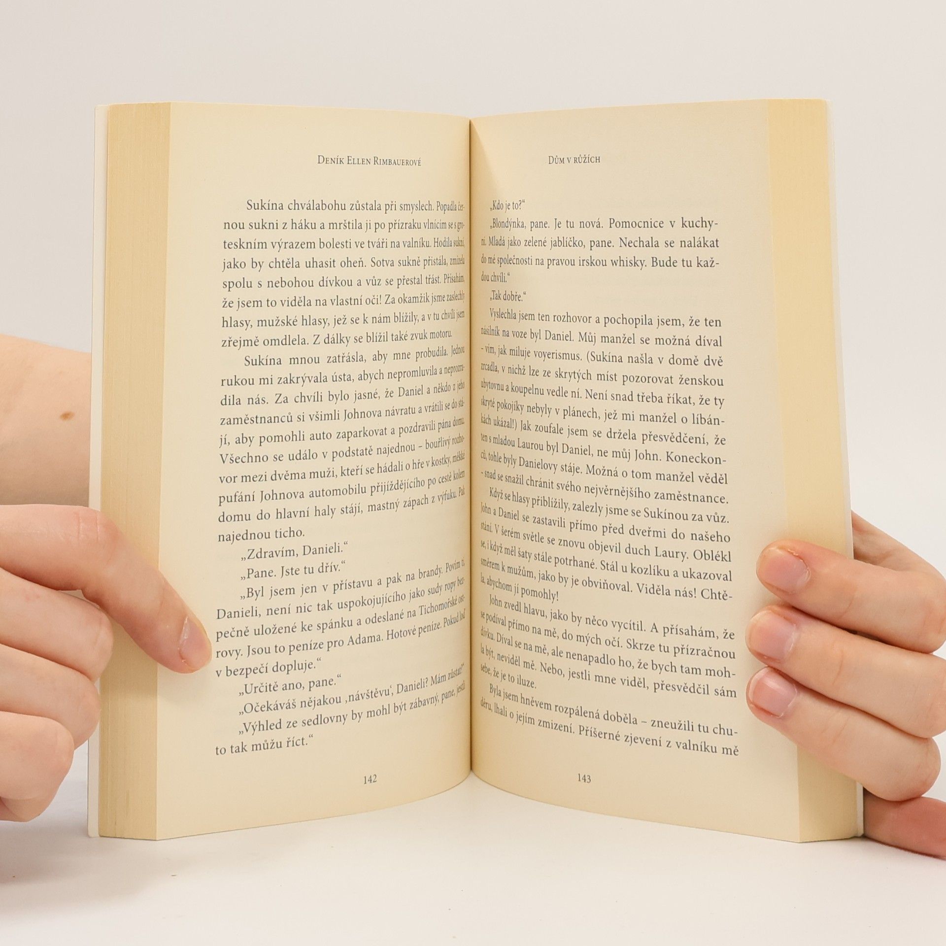 Ridley Pearson Deník Ellen Rimbauerové : Dům v růžích