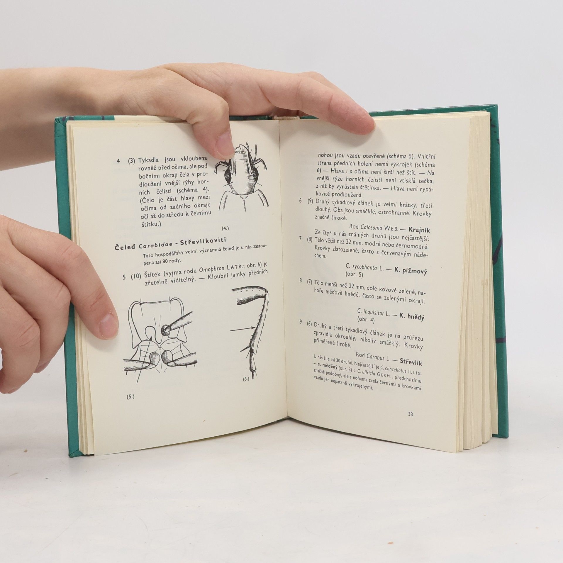 Vladimír Javorek Kapesní atlas brouků