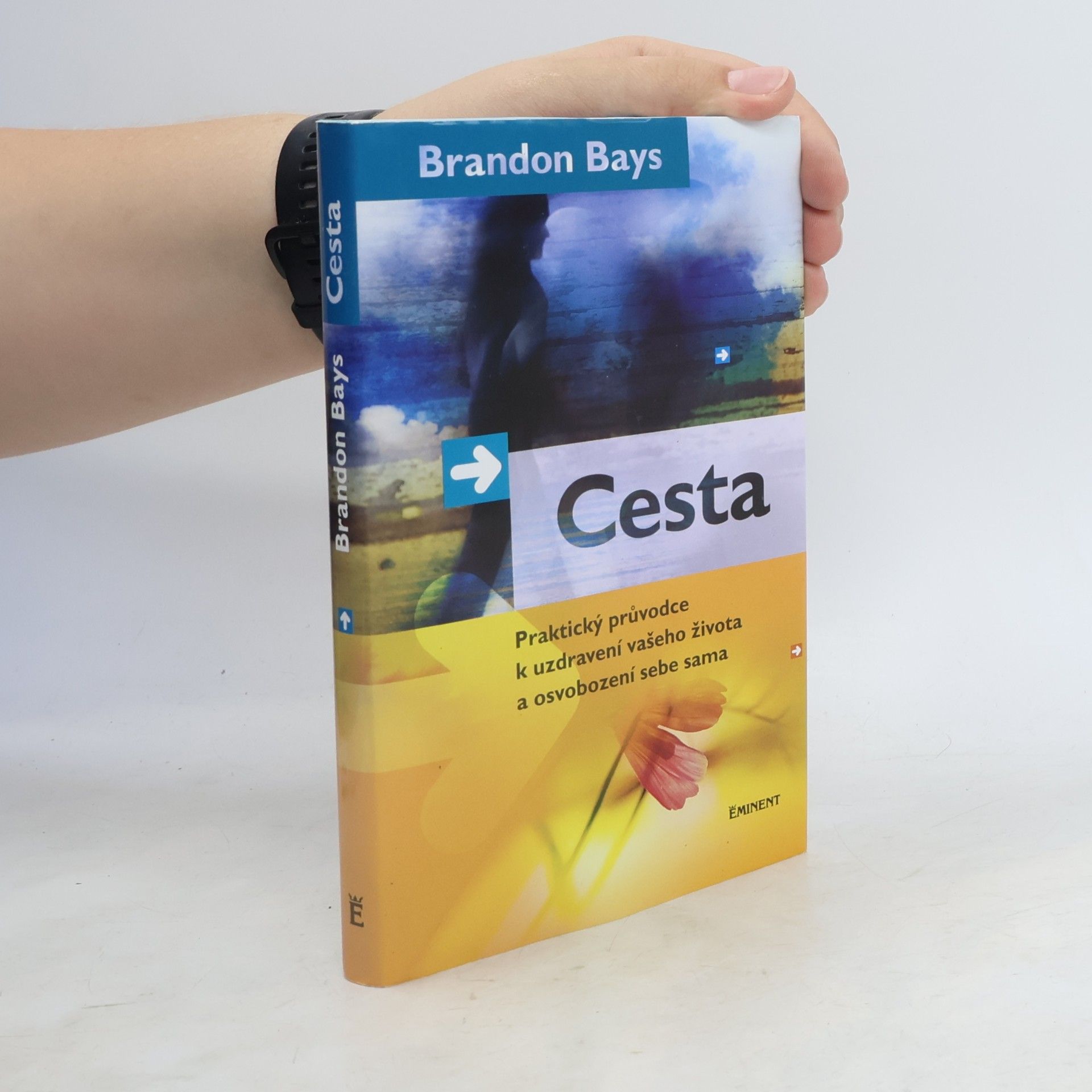 Brandon Bays Cesta