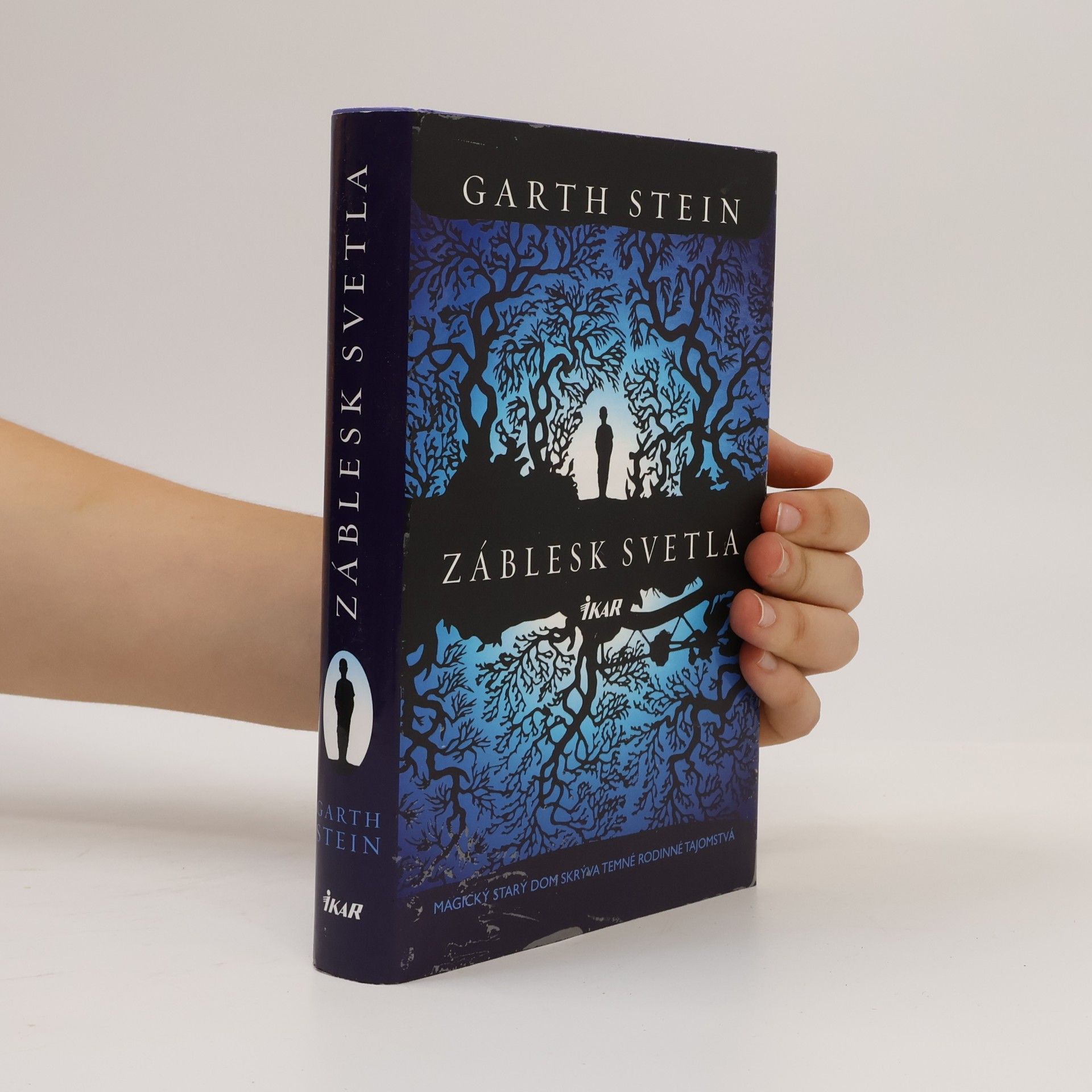 Garth Stein Záblesk svetla