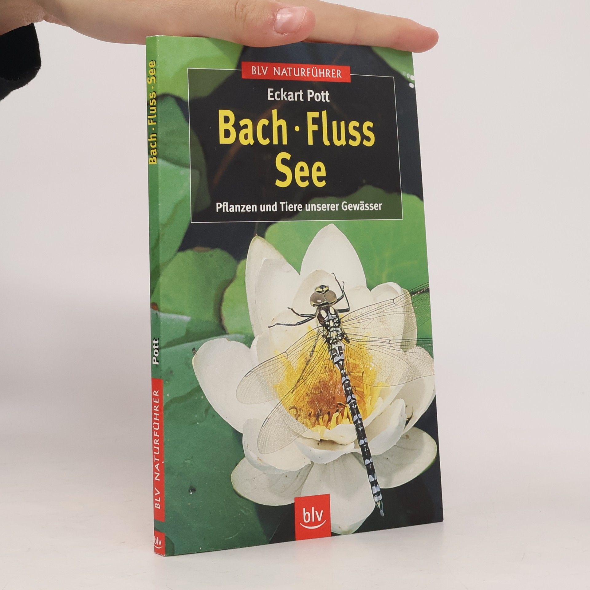 Eckart Pott Bach - Fluss - See