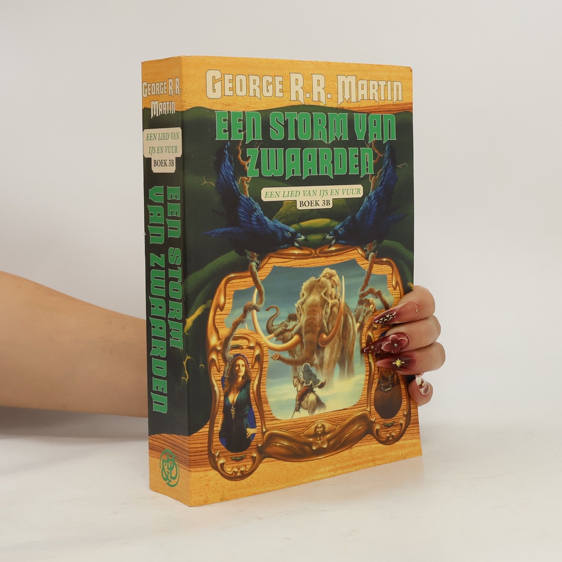 Renée Vink Een lied van ijs en vuur - 3B: Een storm van zwaarden