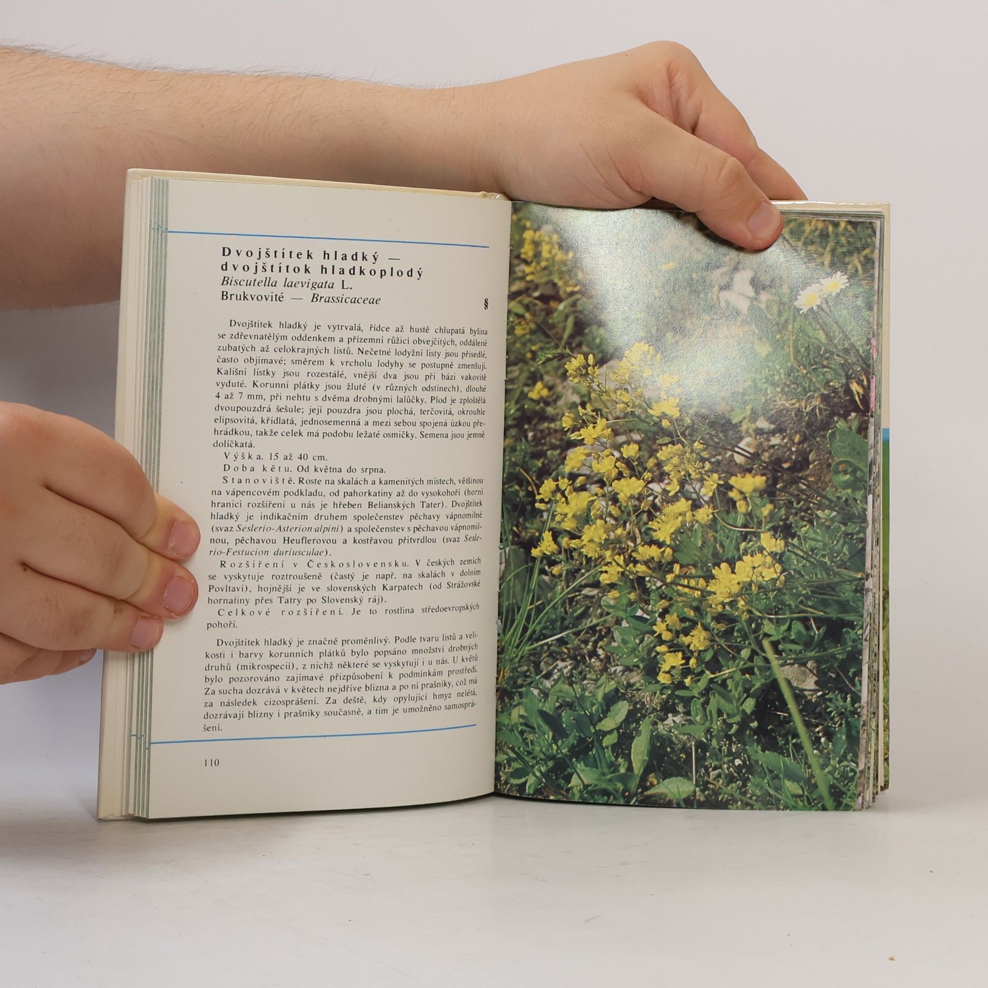 Jiří Čihař Horské rostliny ve fotografii