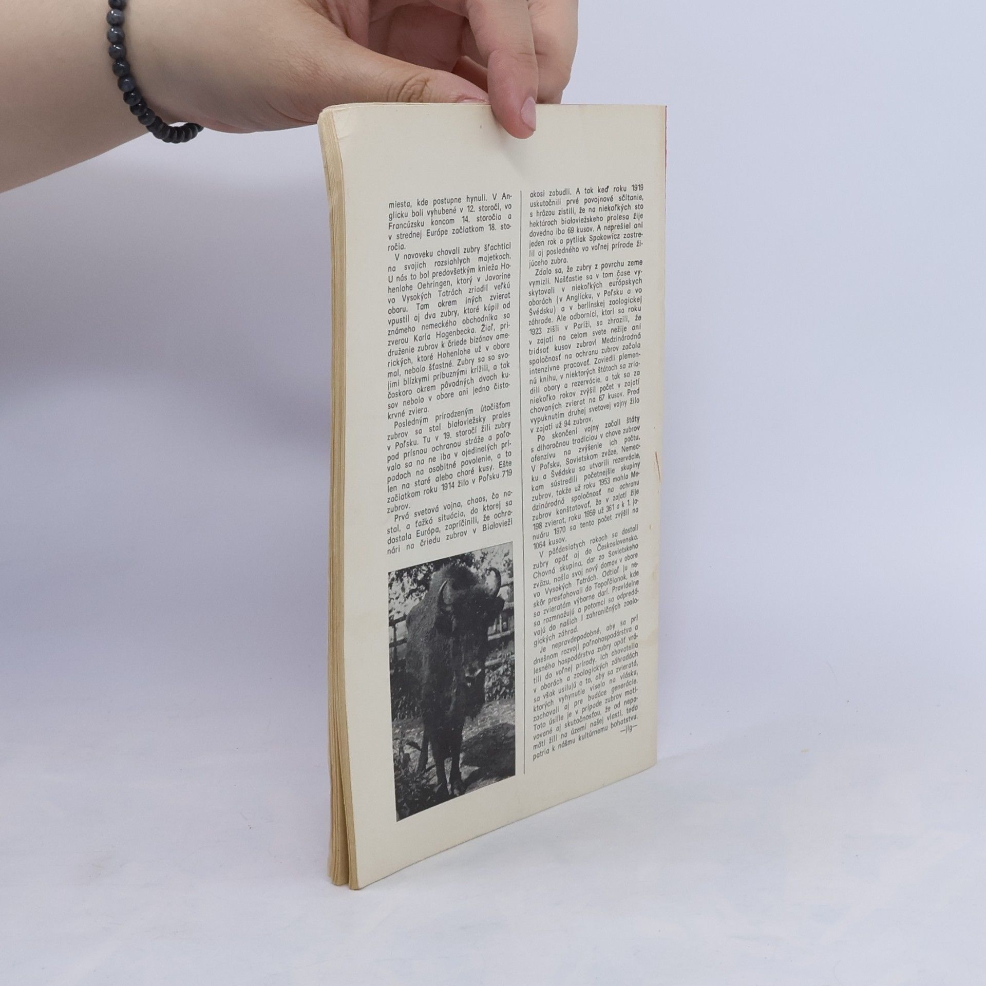 Collectif d'auteurs Sirota z Knowlu 3.