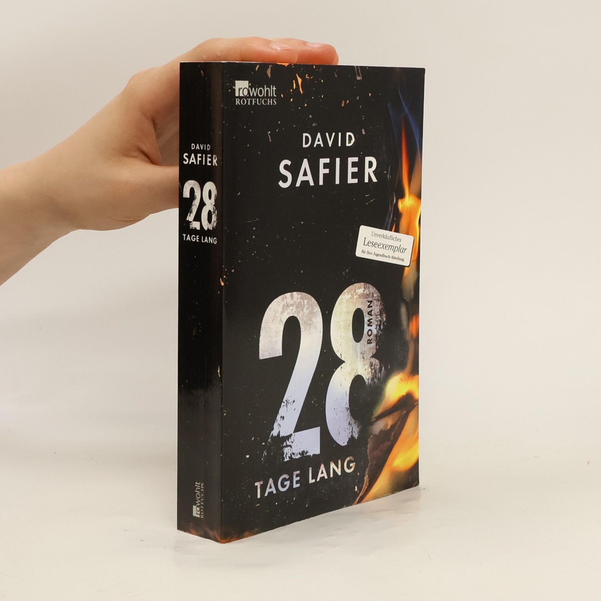 David Safier 28 Tage lang