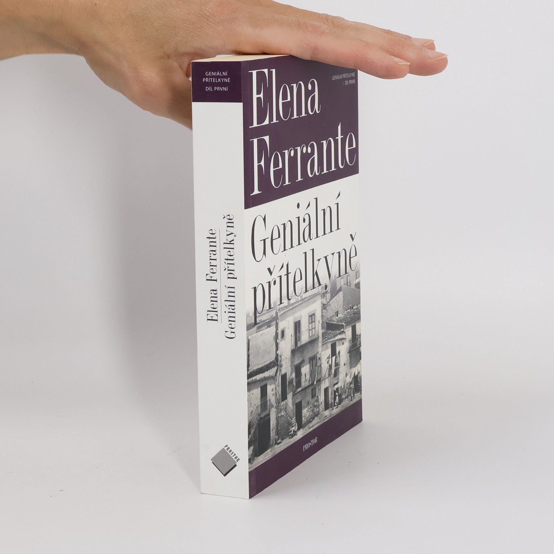 Elena Ferrante Geniální přítelkyně 1. Dětství a dospívání