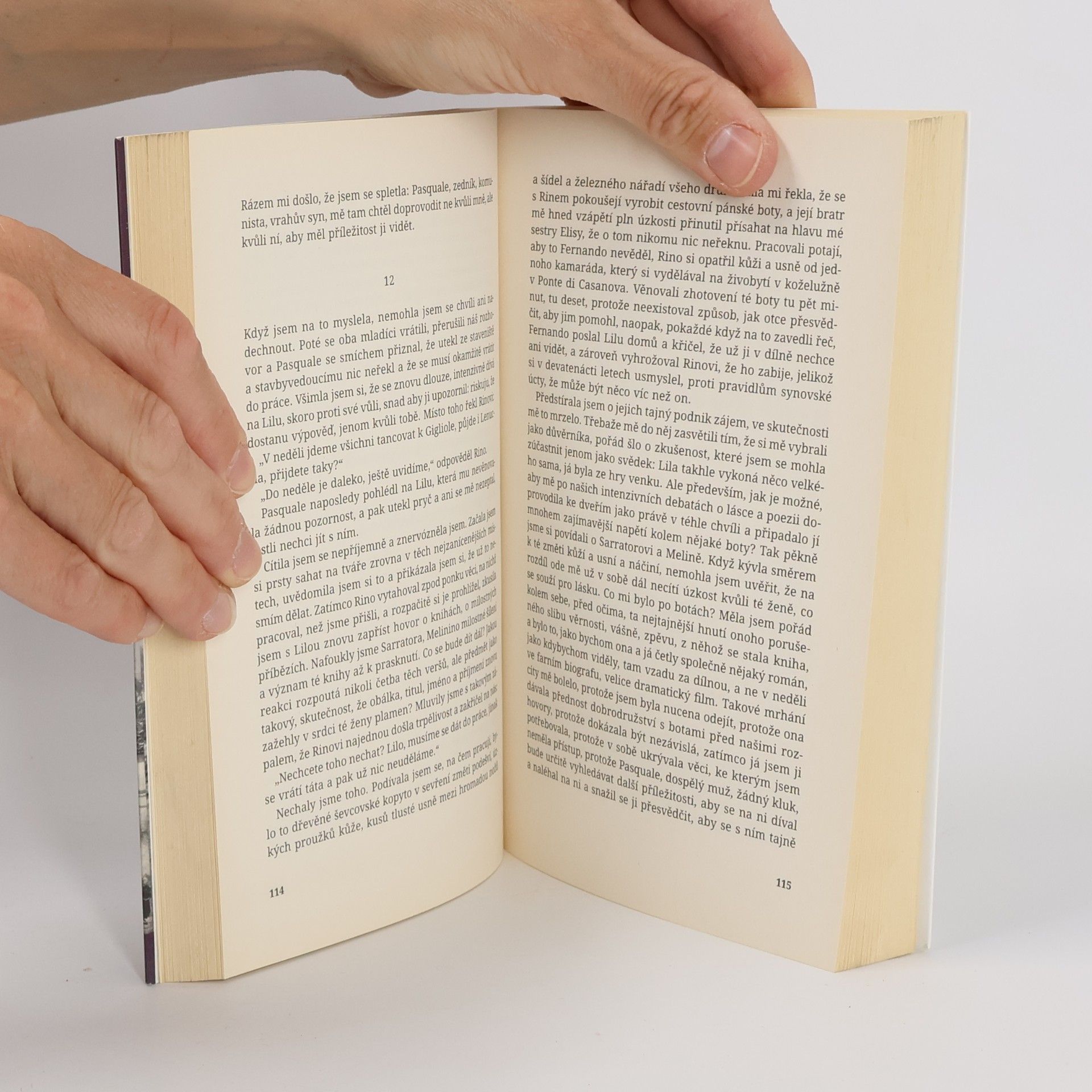 Elena Ferrante Geniální přítelkyně 1. Dětství a dospívání