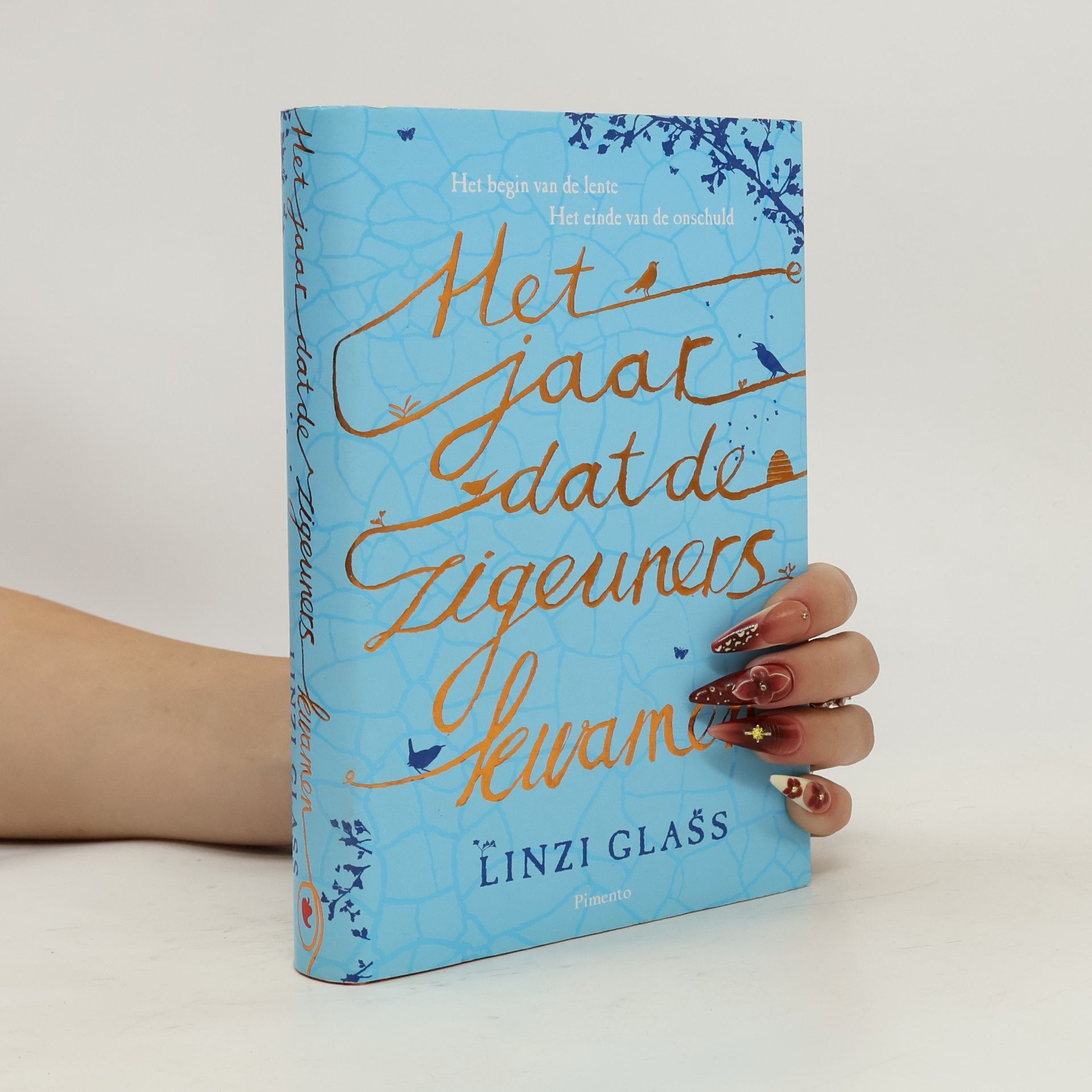 Linzi Alex Glass Het jaar dat de zigeuners kwamen