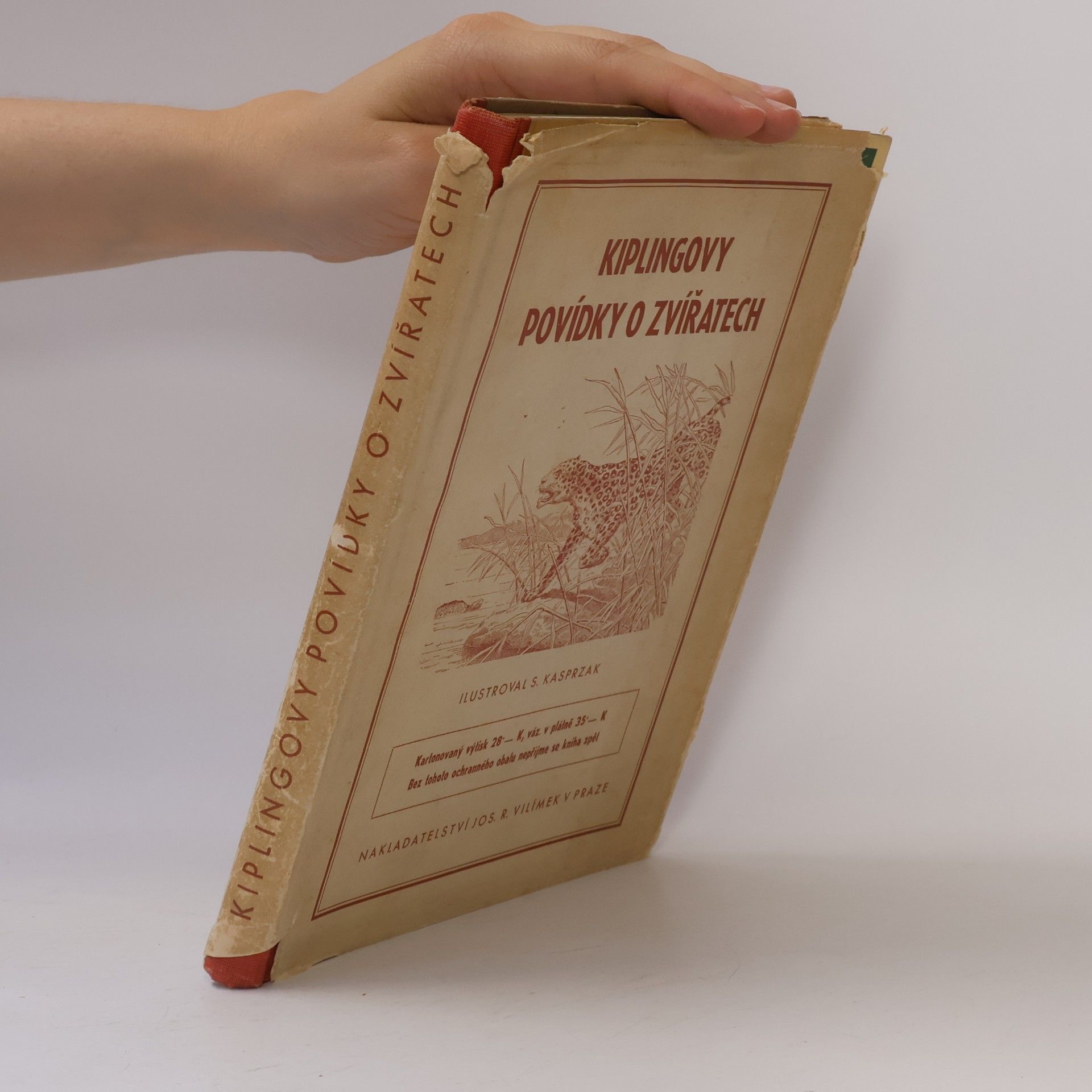 Rudyard Kipling Kiplingovy povídky o zvířatech