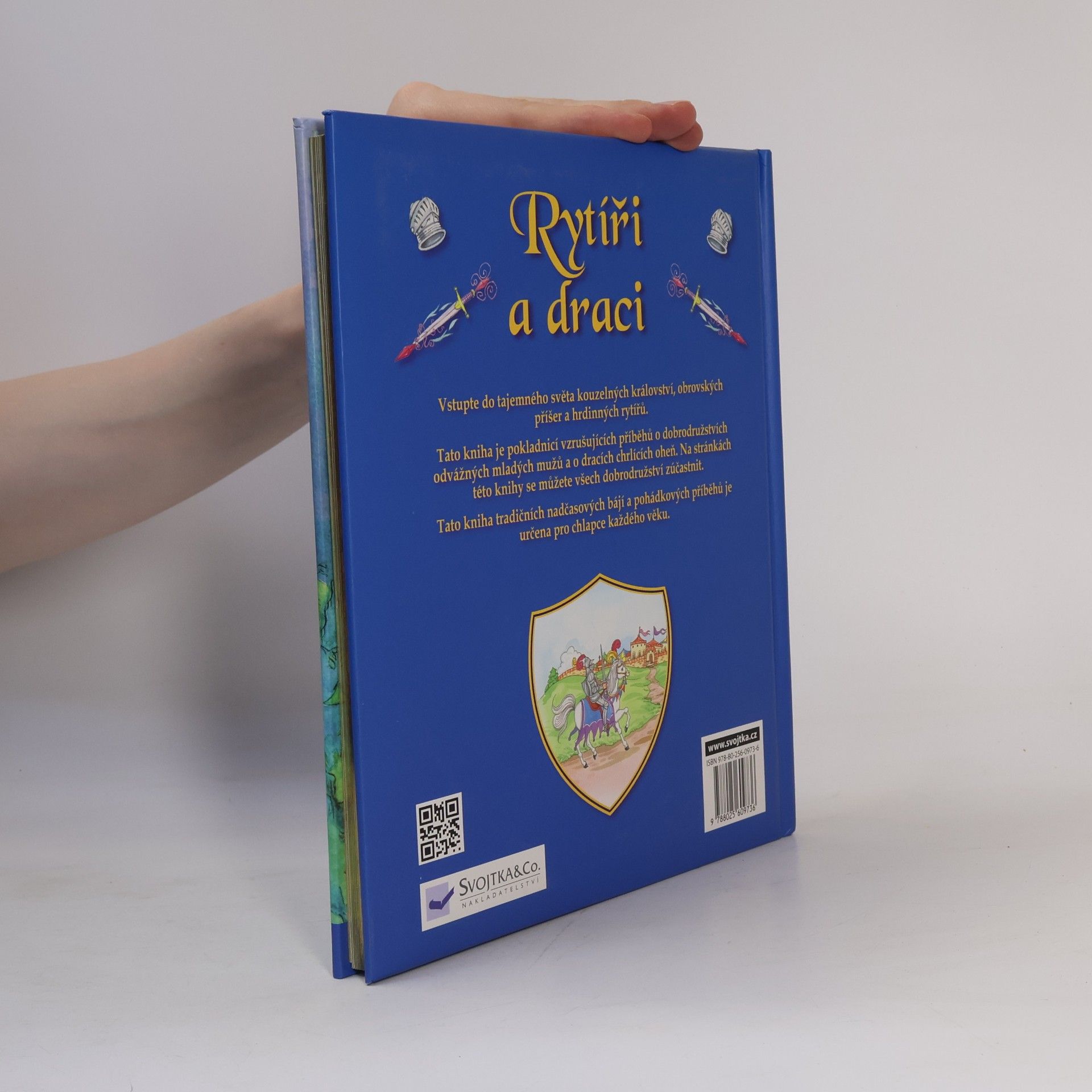 Autorenkollektiv Rytíři a draci