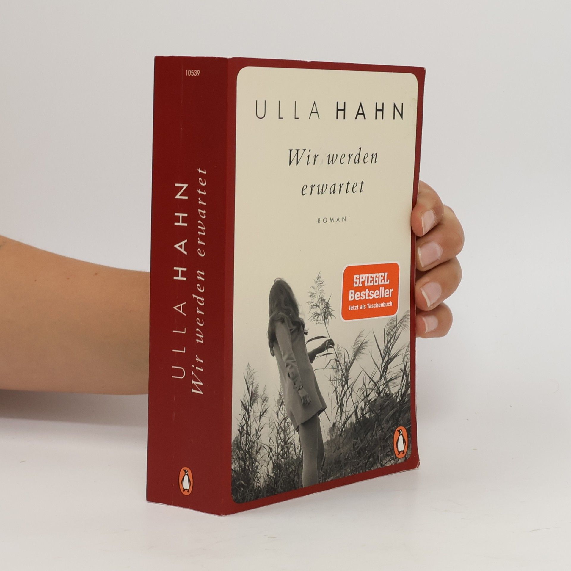 Ulla Hahn Wir werden erwartet