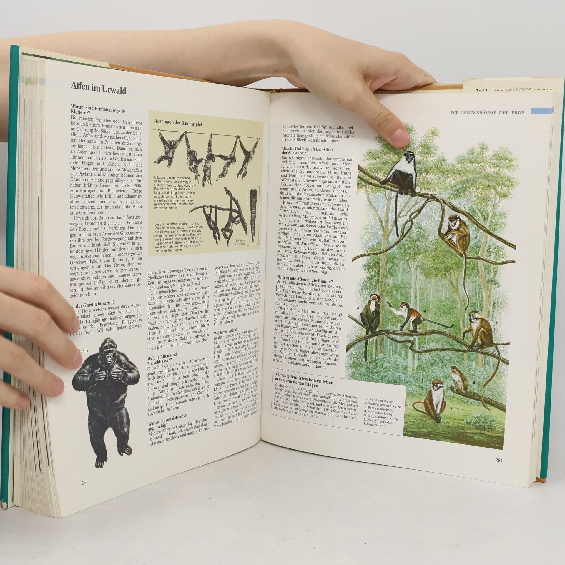 Various authors 1000 Fragen an die Natur