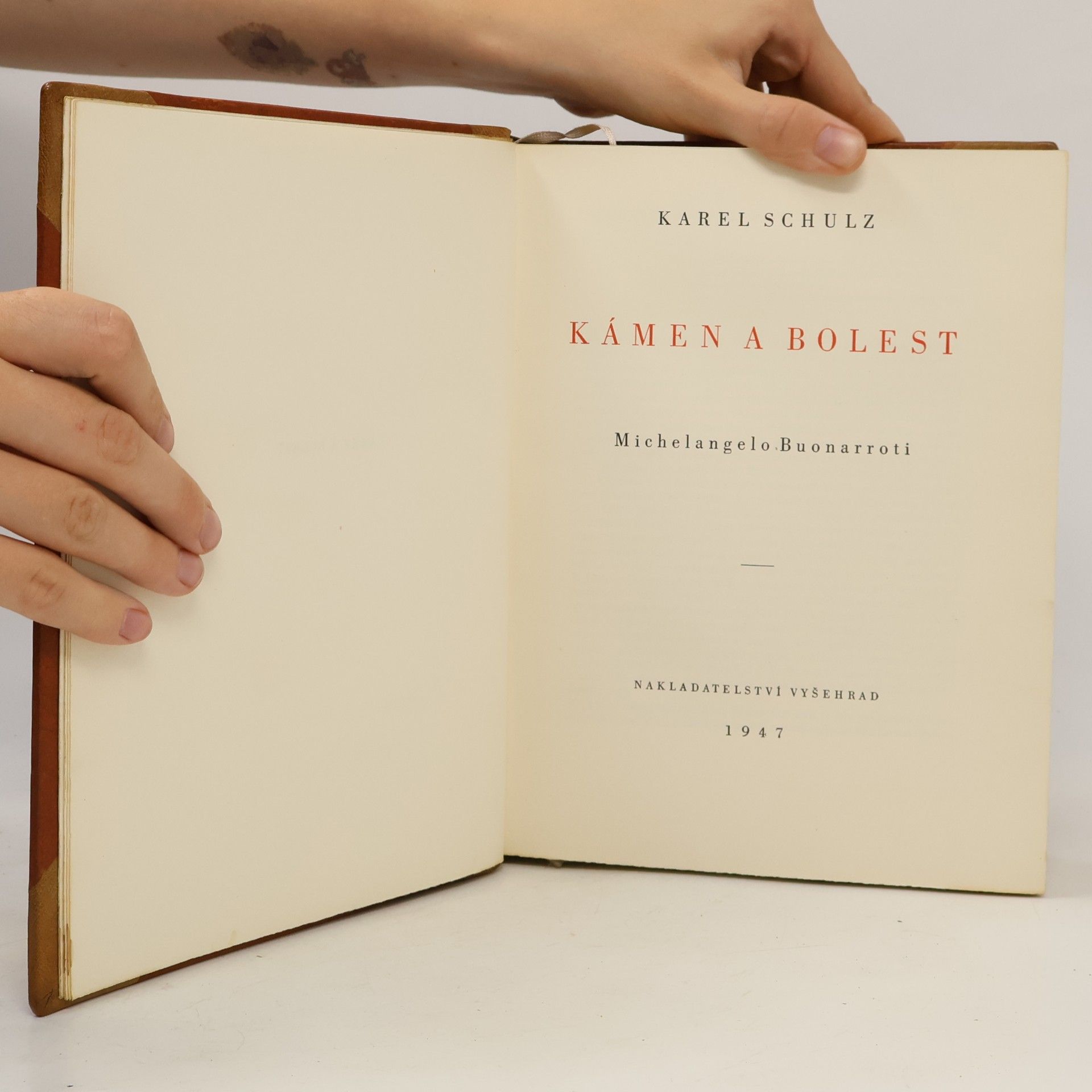 Karel Schulz Kámen a bolest