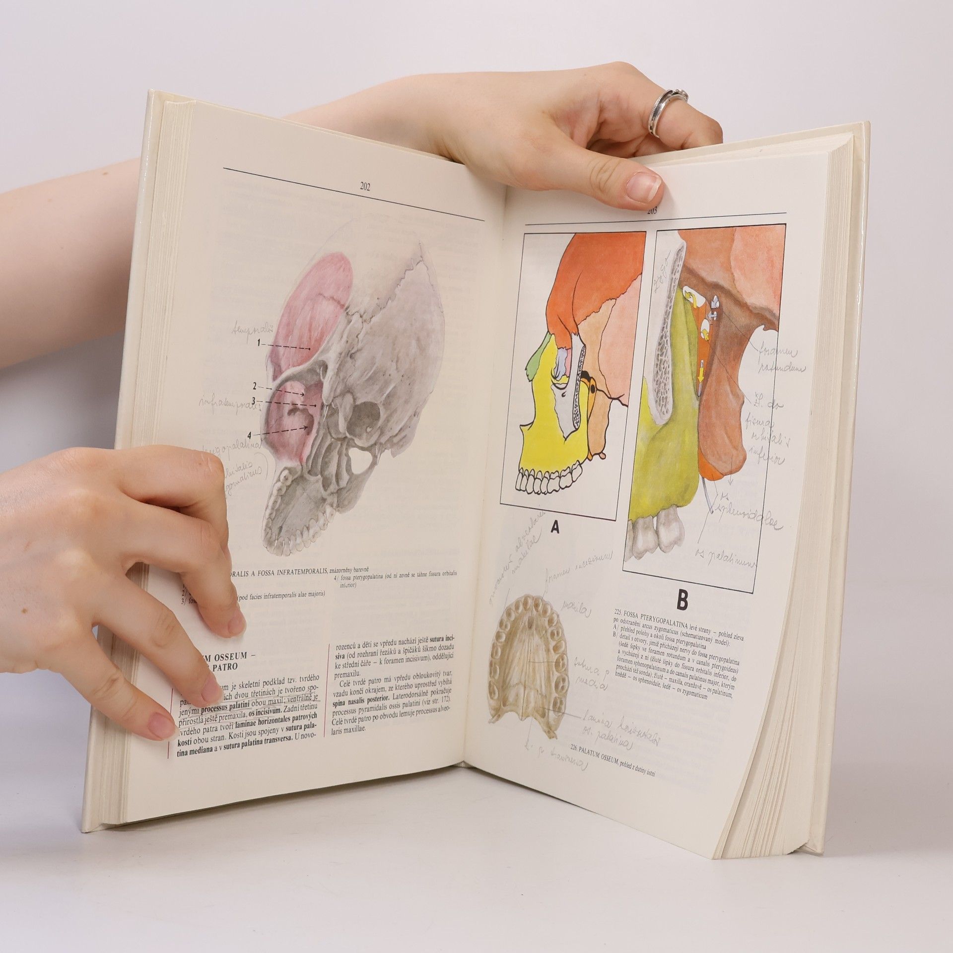 Radomír Čihák Anatomie 1