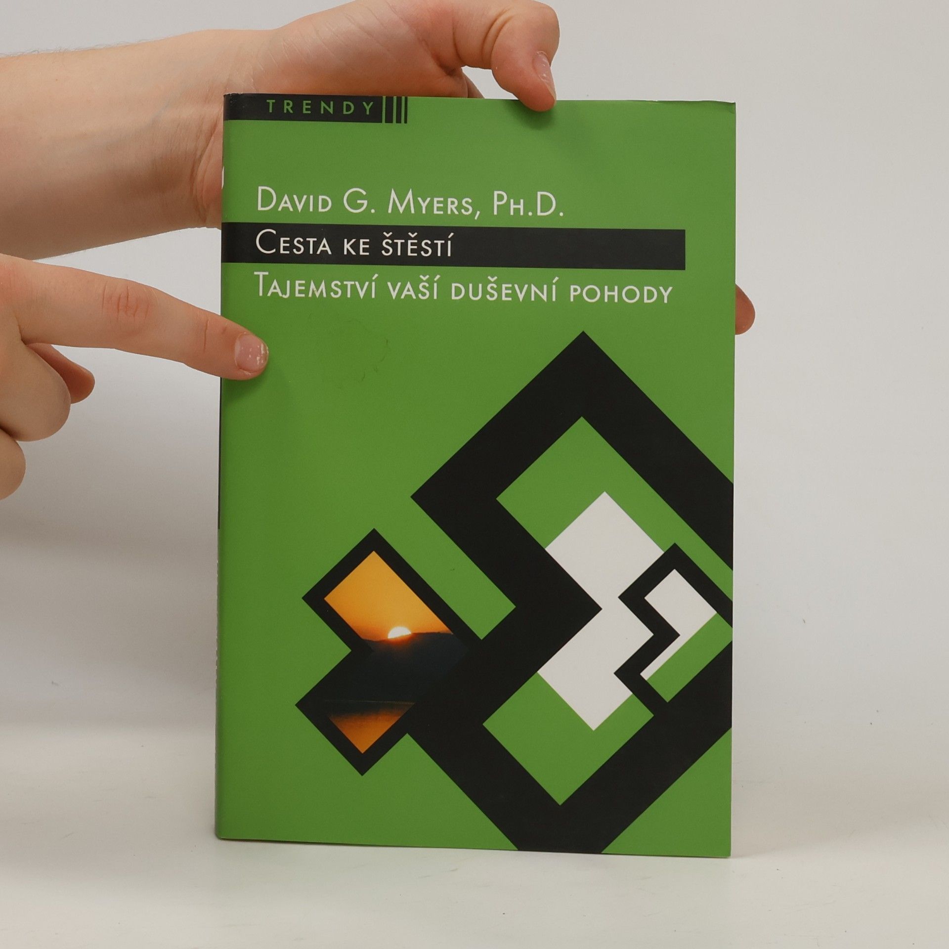 David G. Myers Cesta ke štěstí. Tajemství vaší duševní pohody