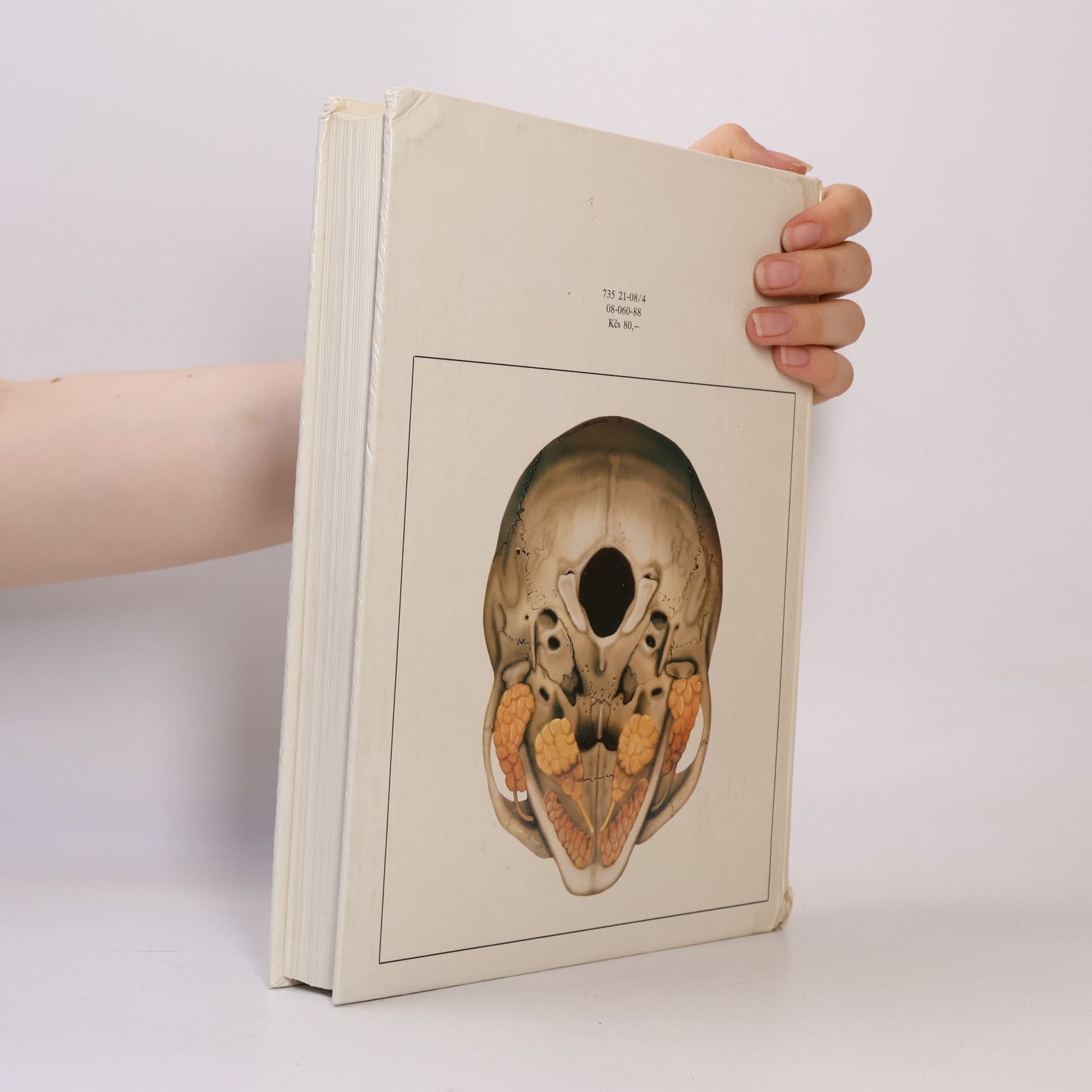 Radomír Čihák Anatomie 2
