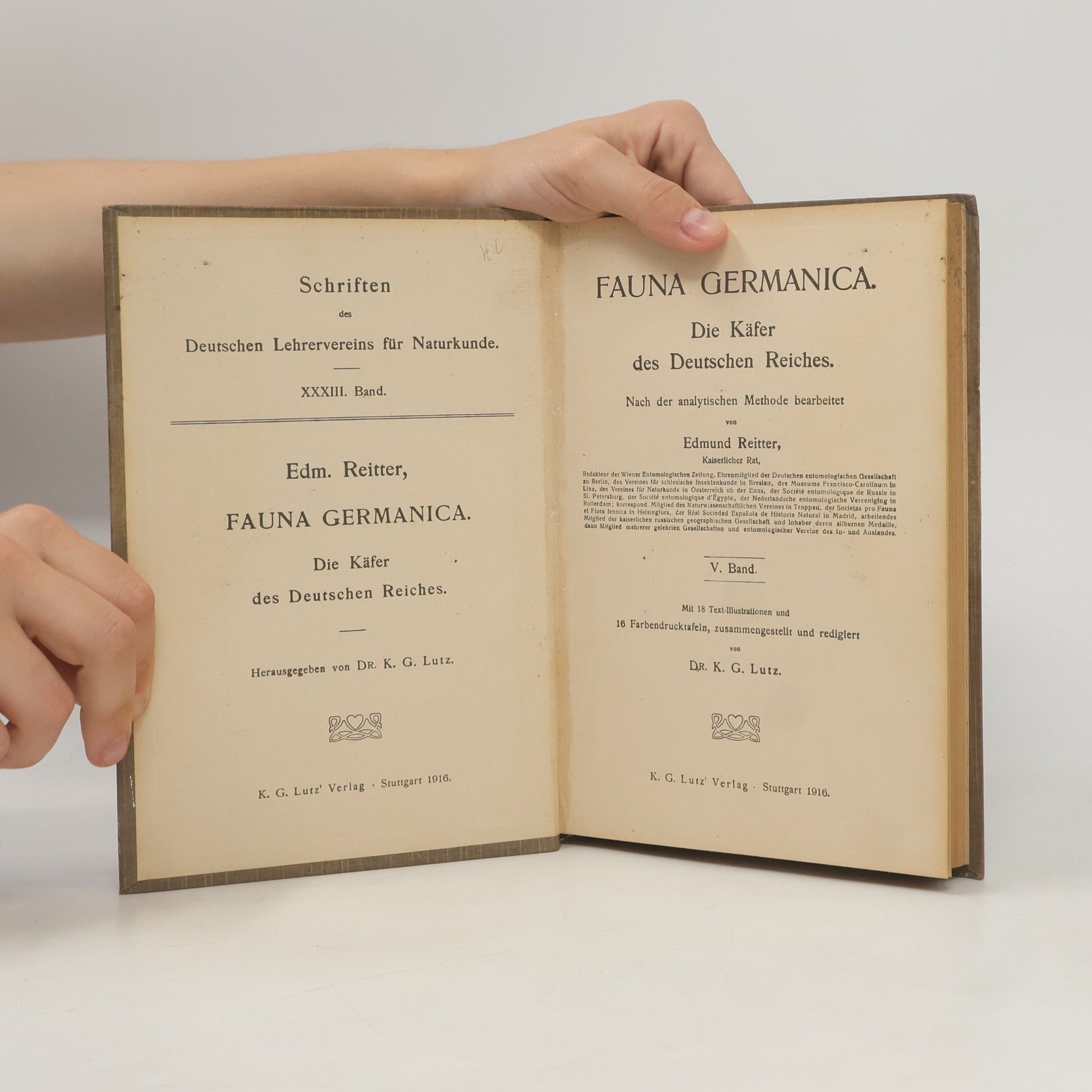 Edmund Reitter Fauna Germanica V