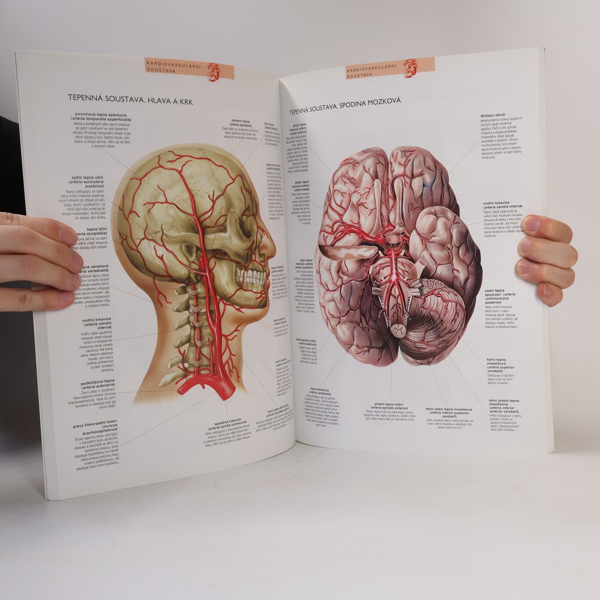 Autorenkollektiv Atlas lidského těla