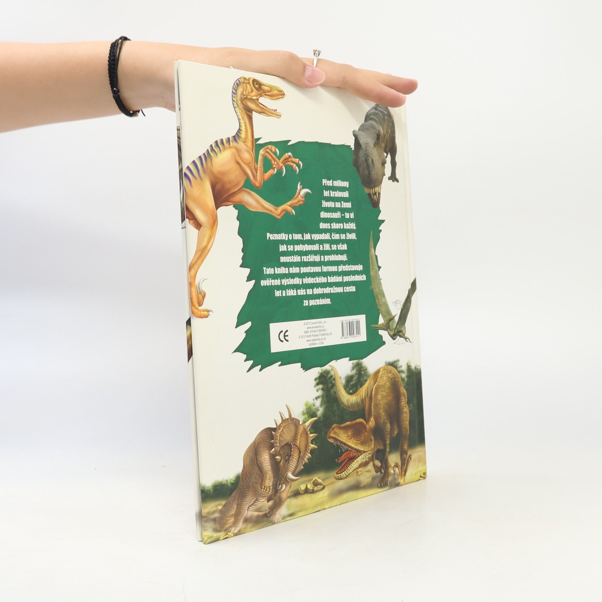 Autorenkollektiv Nové obzory - Dinosauři: Dobrodružství ve světě dinosaurů Dinosauři Objevte prehistorický svět dinosaurů