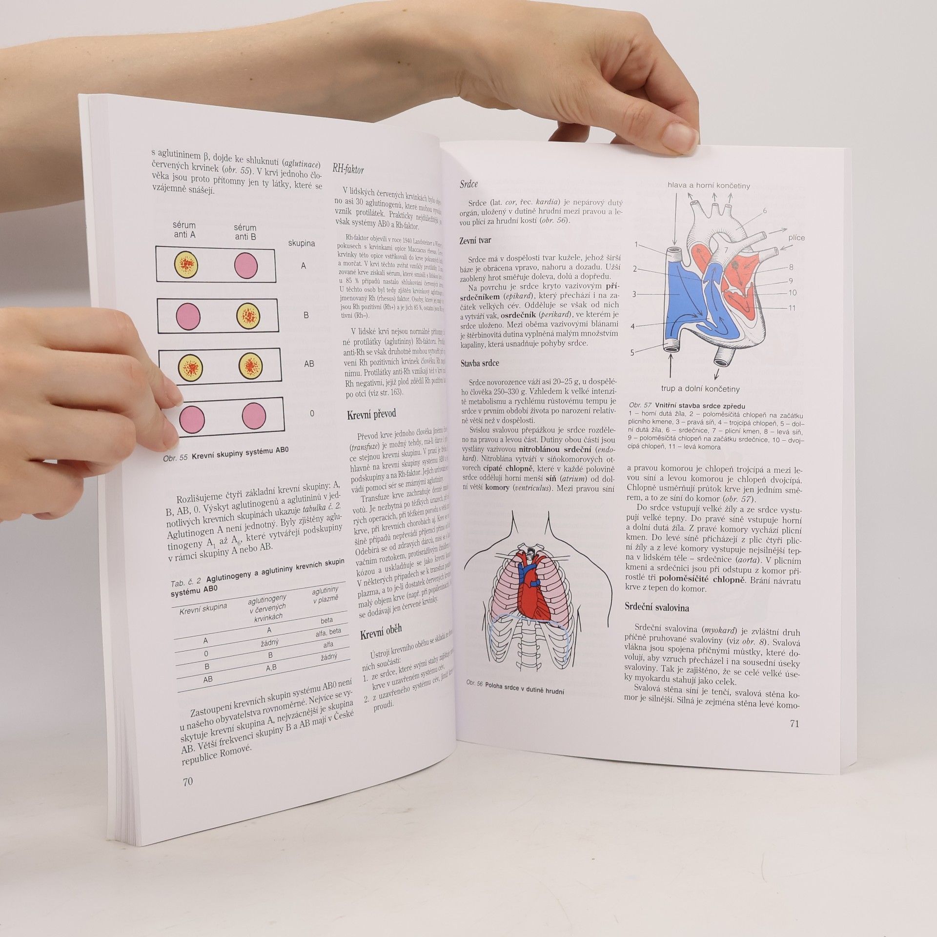 Jitka Machová Biologie člověka pro učitele