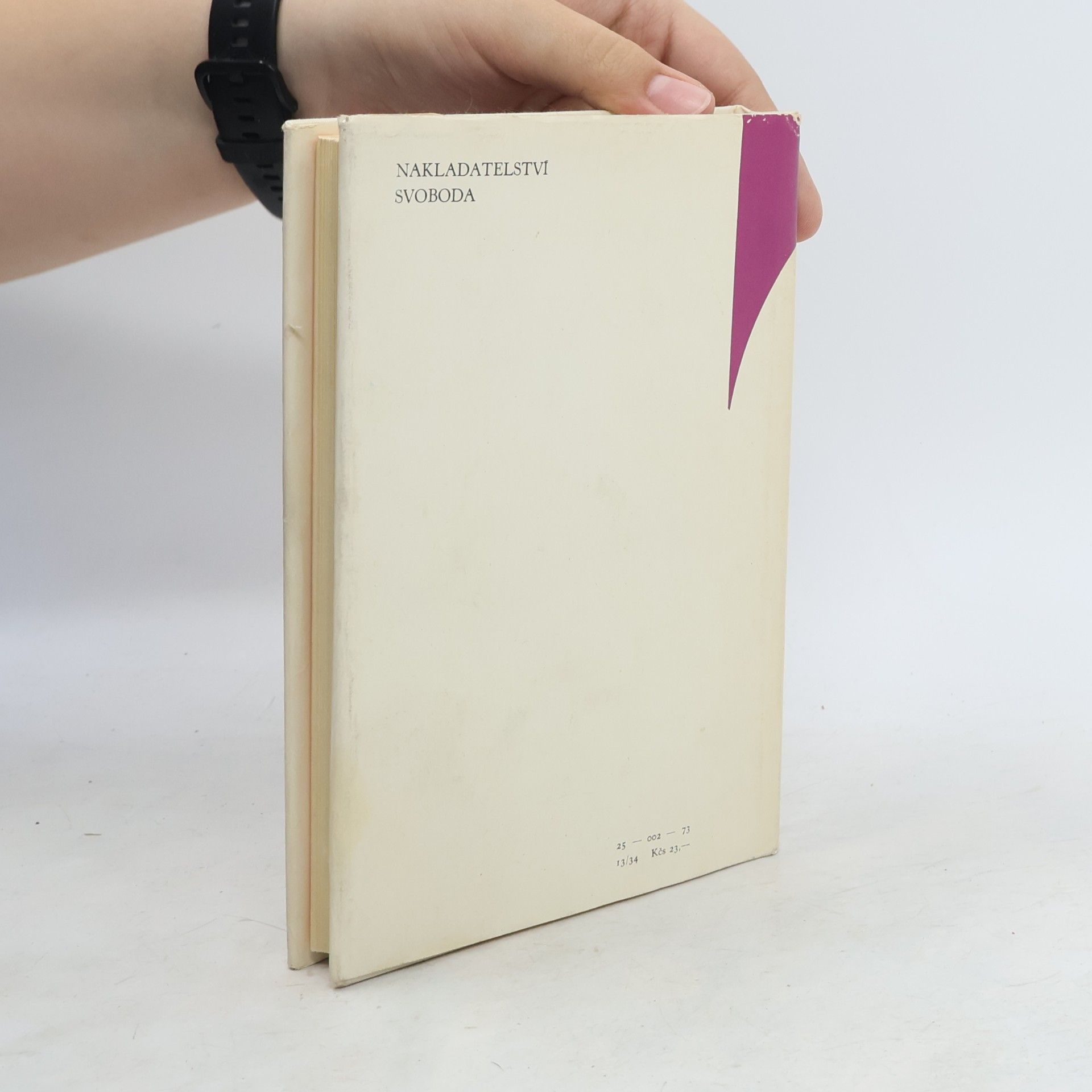 Erich Maria Remarque Miluj bližního svého