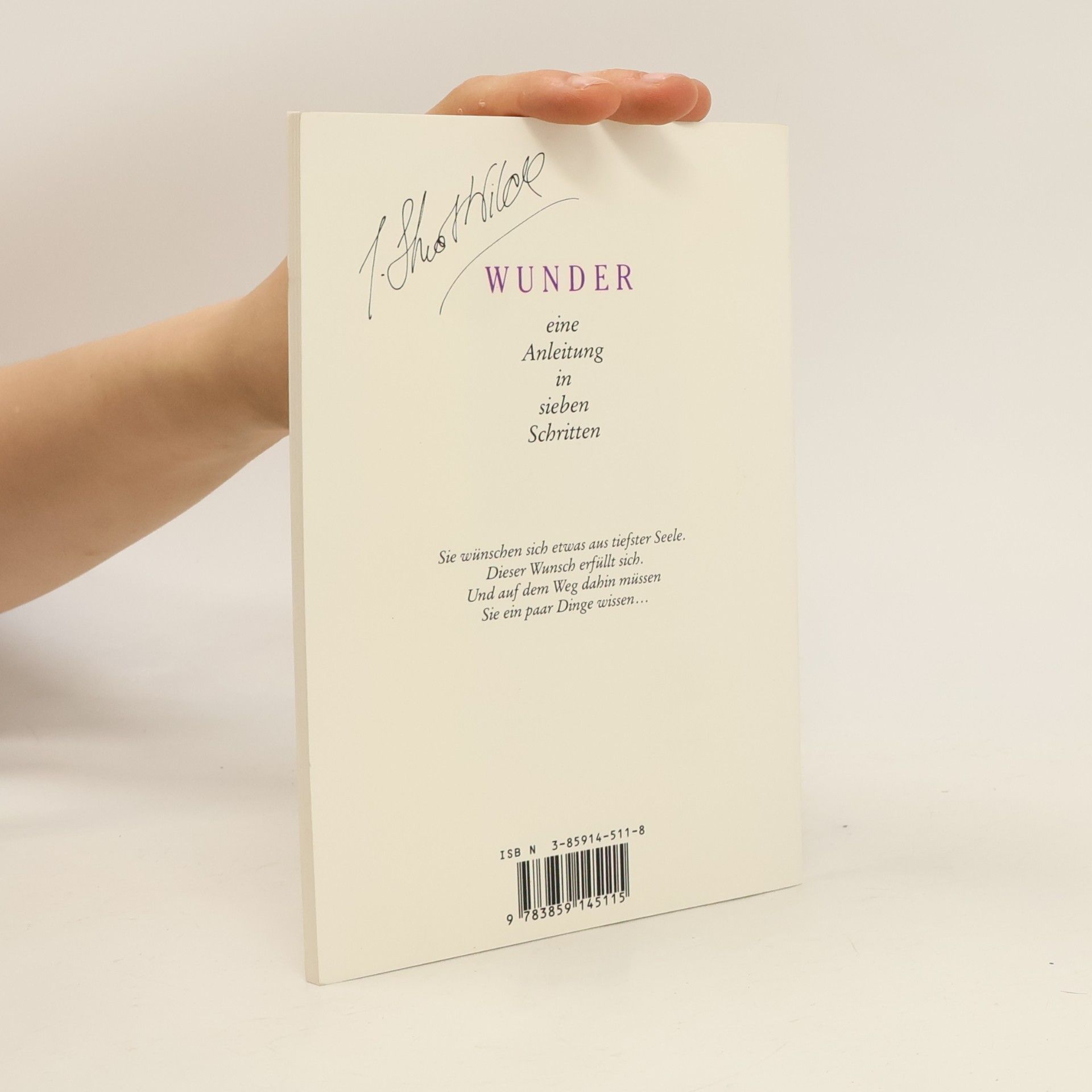 Stuart Wilde Wunder