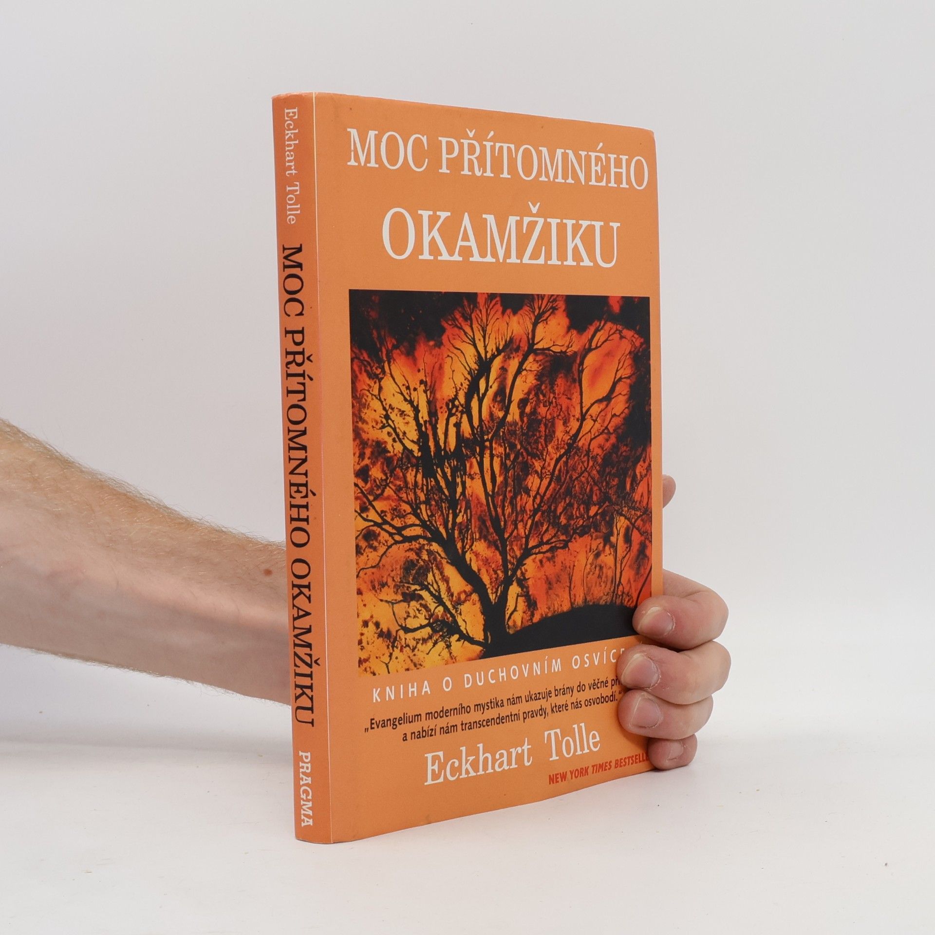 Eckhart Tolle Moc přítomného okamžiku