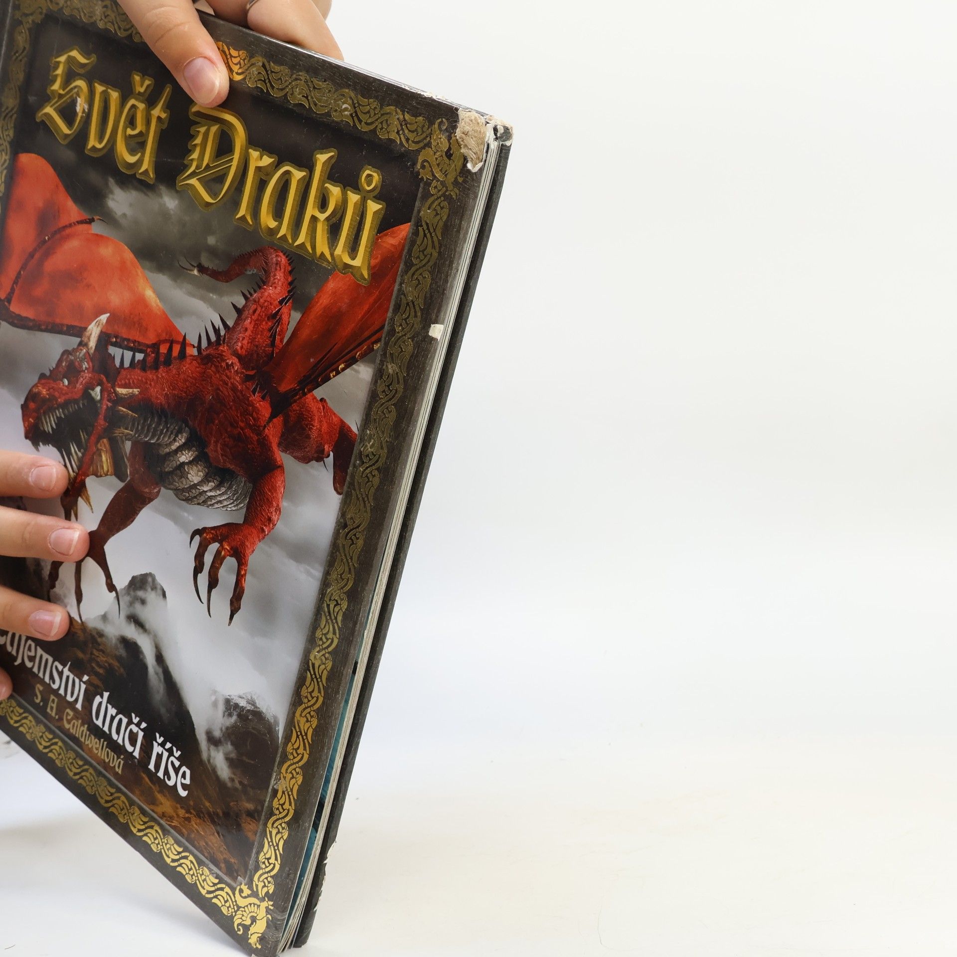 Stella Caldwell Svět draků - Tajemství dračí říše